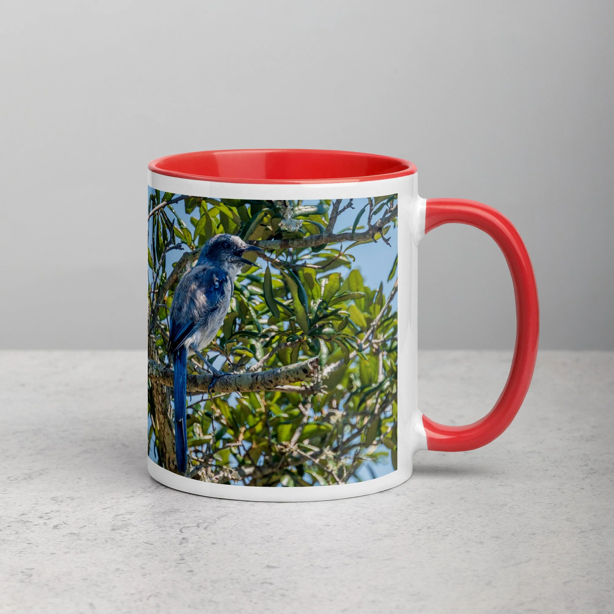 white-ceramic-mug-with-color-inside-red-11-oz-right-6a76b4e0d7409.jpg