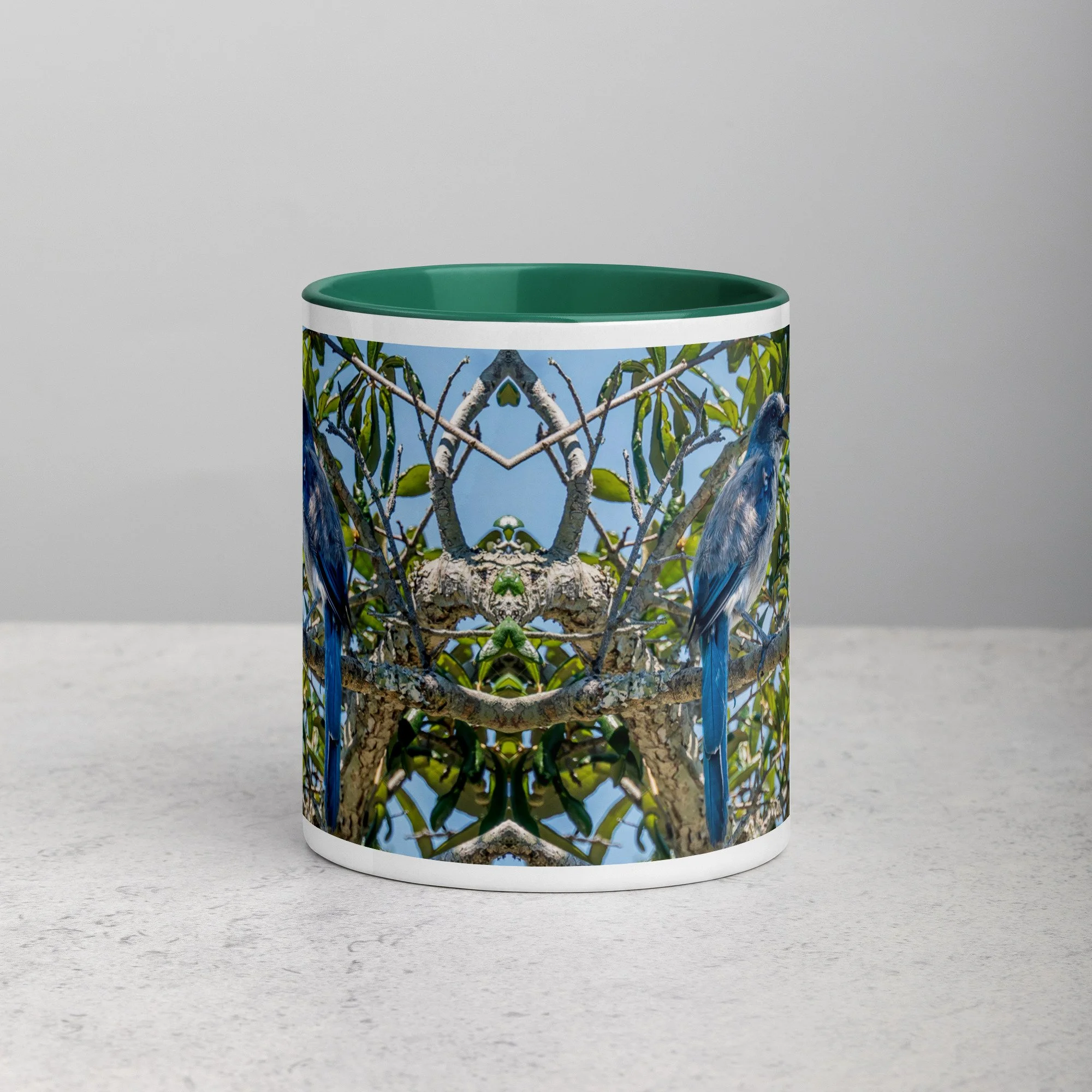 white-ceramic-mug-with-color-inside-dark-green-11-oz-front-6a76b4e0d7453.jpg