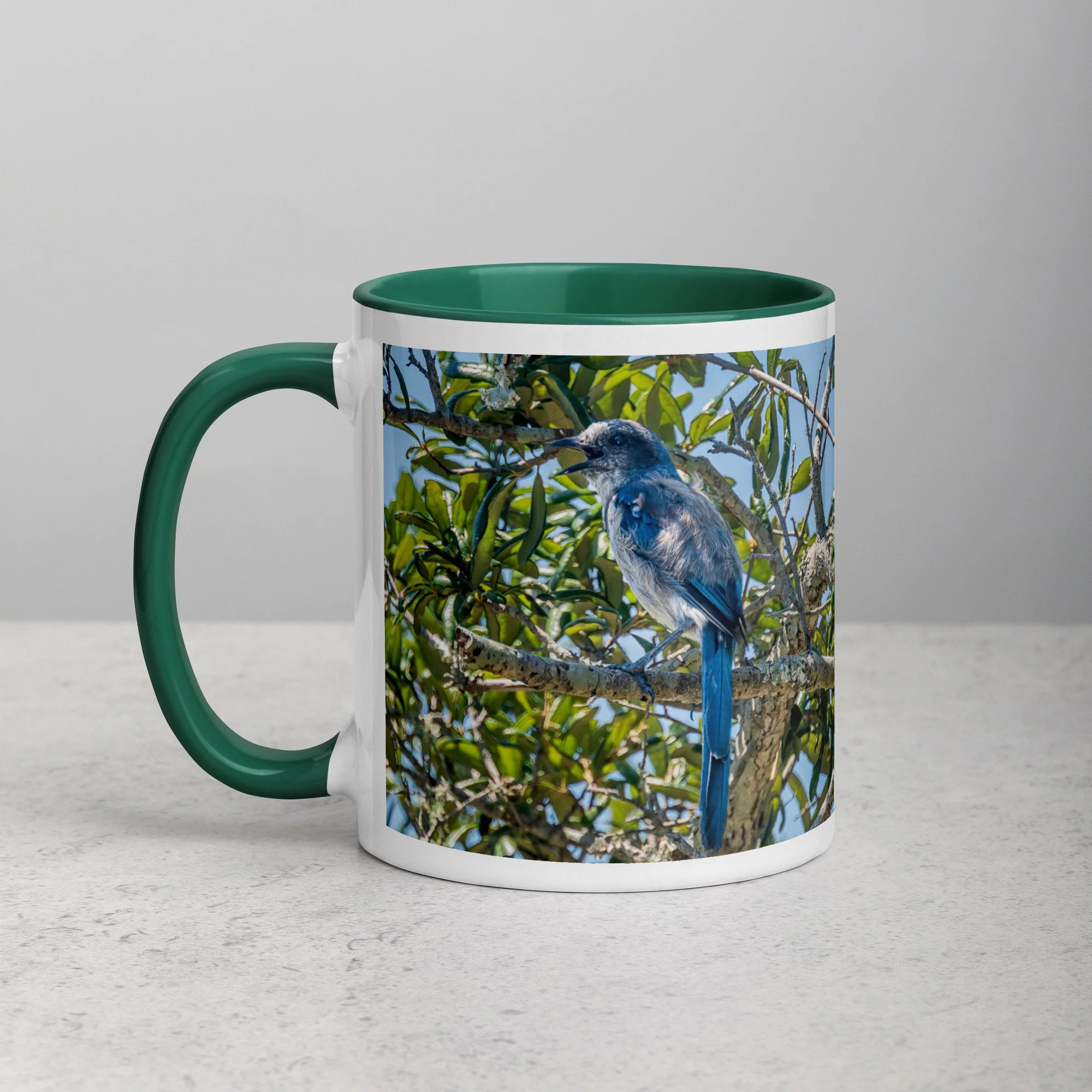 white-ceramic-mug-with-color-inside-dark-green-11-oz-left-6a76b4e0d7471.jpg