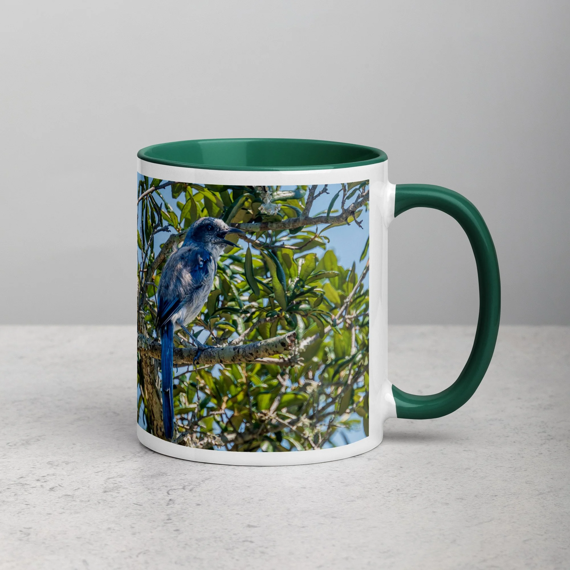 white-ceramic-mug-with-color-inside-dark-green-11-oz-right-6a76b4e0d748e.jpg