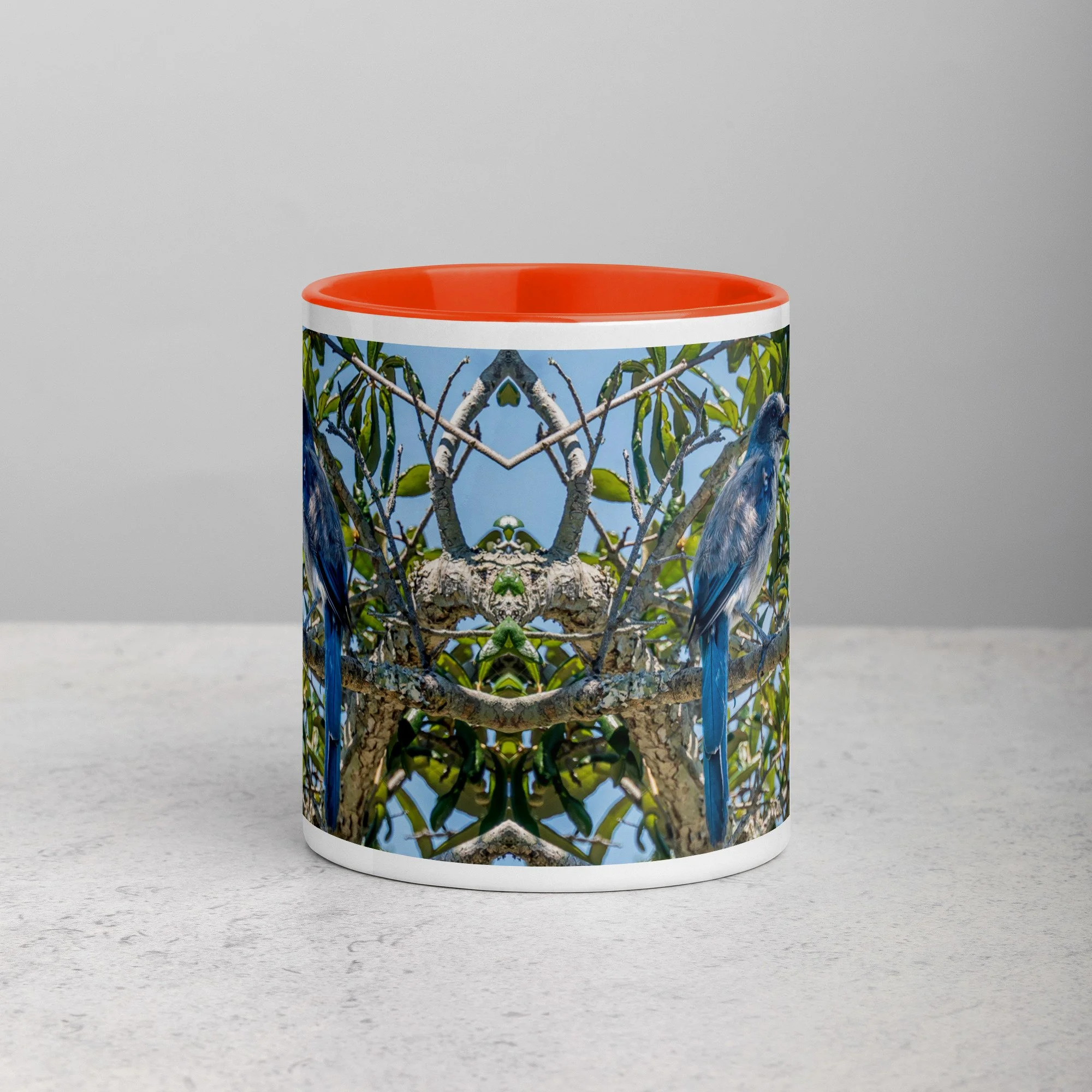 white-ceramic-mug-with-color-inside-orange-11-oz-front-6a76b4e0d74cf.jpg