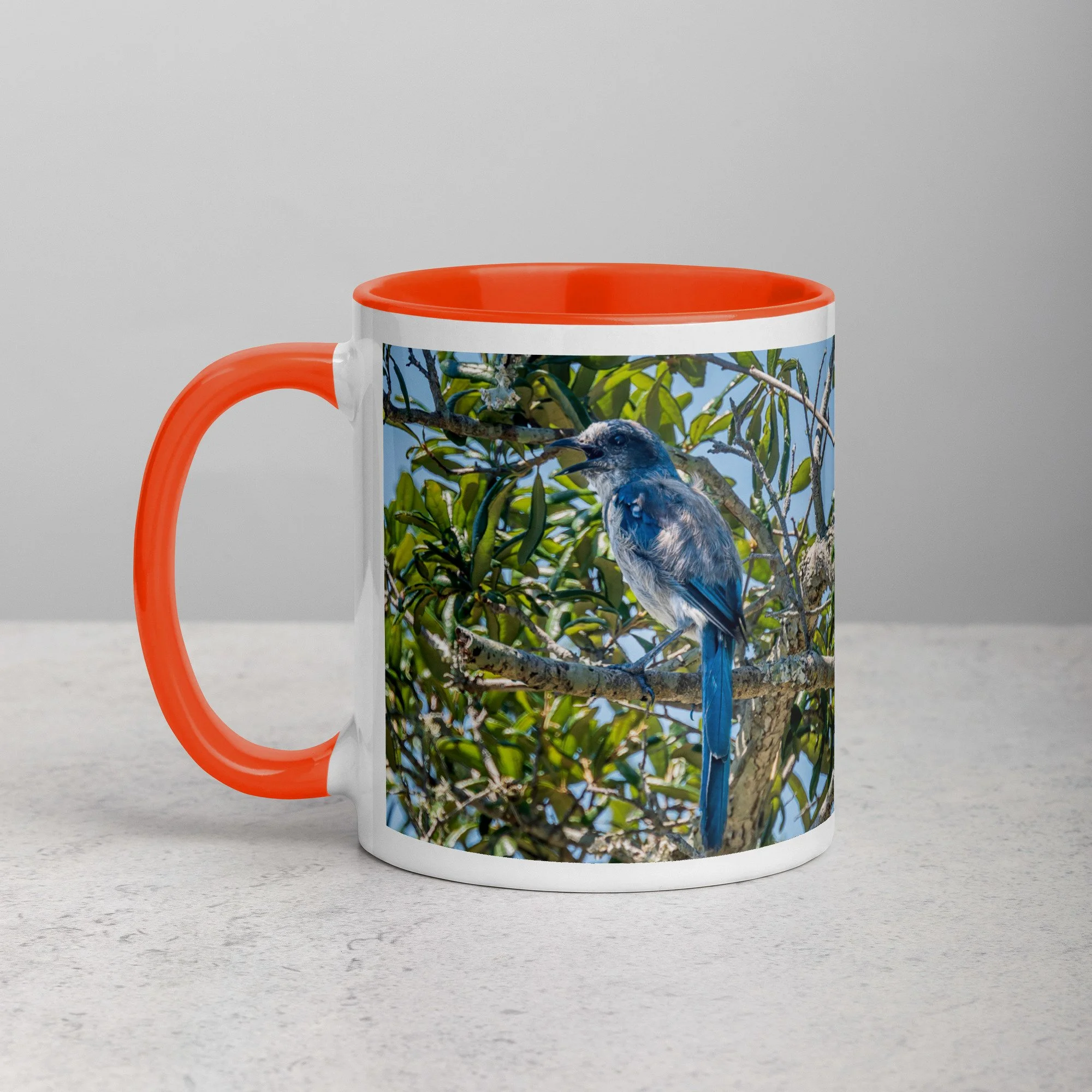 white-ceramic-mug-with-color-inside-orange-11-oz-left-6a76b4e0d74eb.jpg