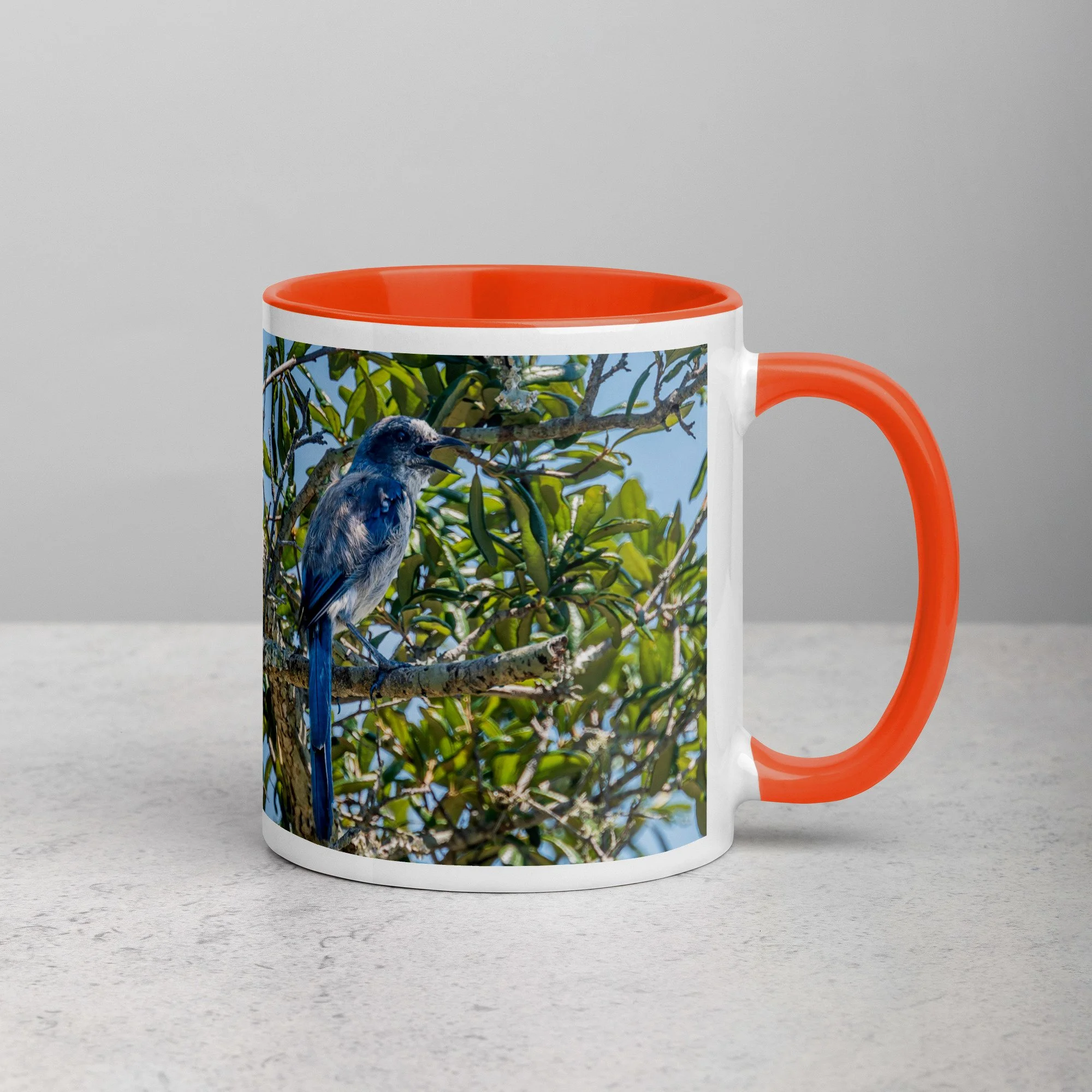 white-ceramic-mug-with-color-inside-orange-11-oz-right-6a76b4e0d7507.jpg