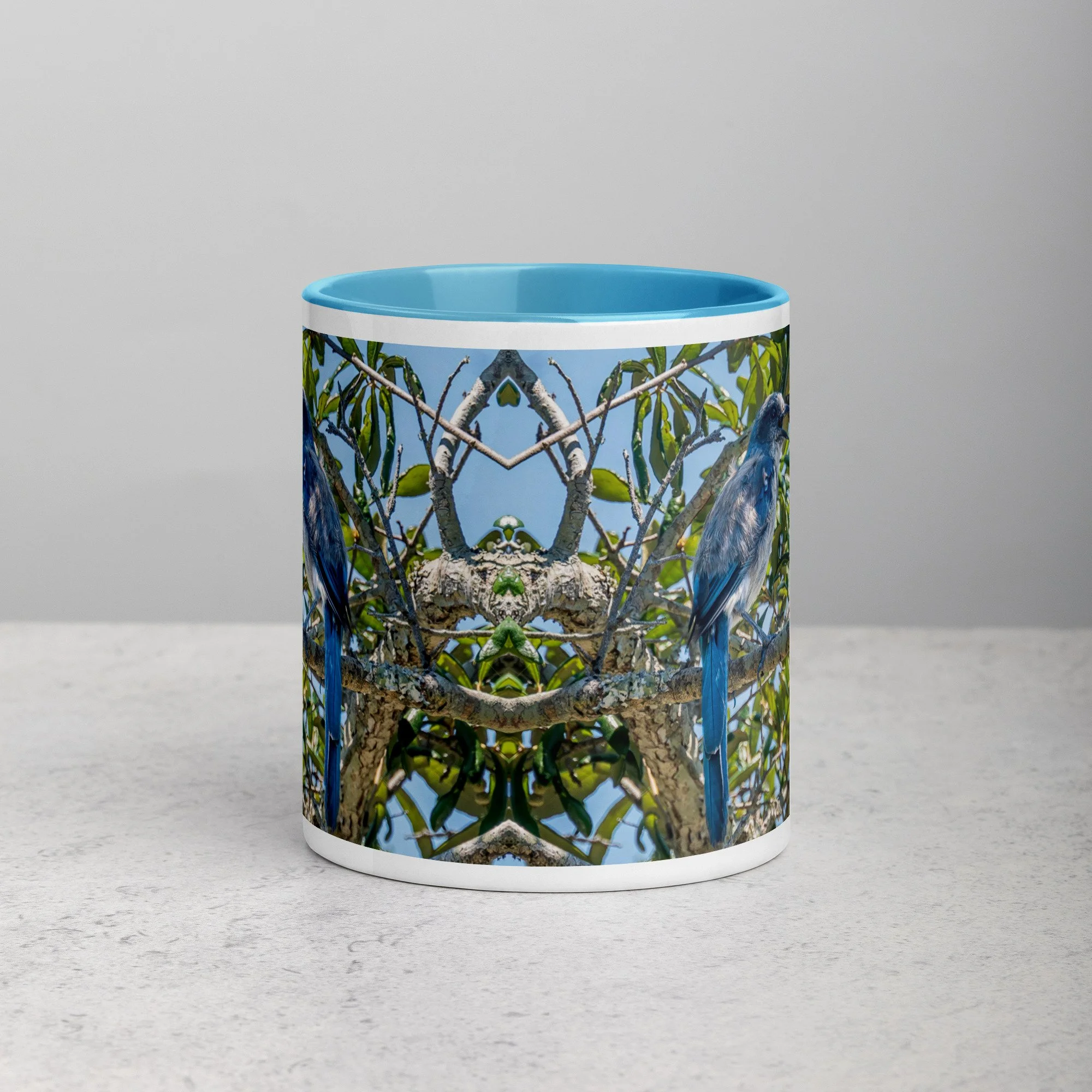 white-ceramic-mug-with-color-inside-blue-11-oz-front-6a76b4e0d754d.jpg