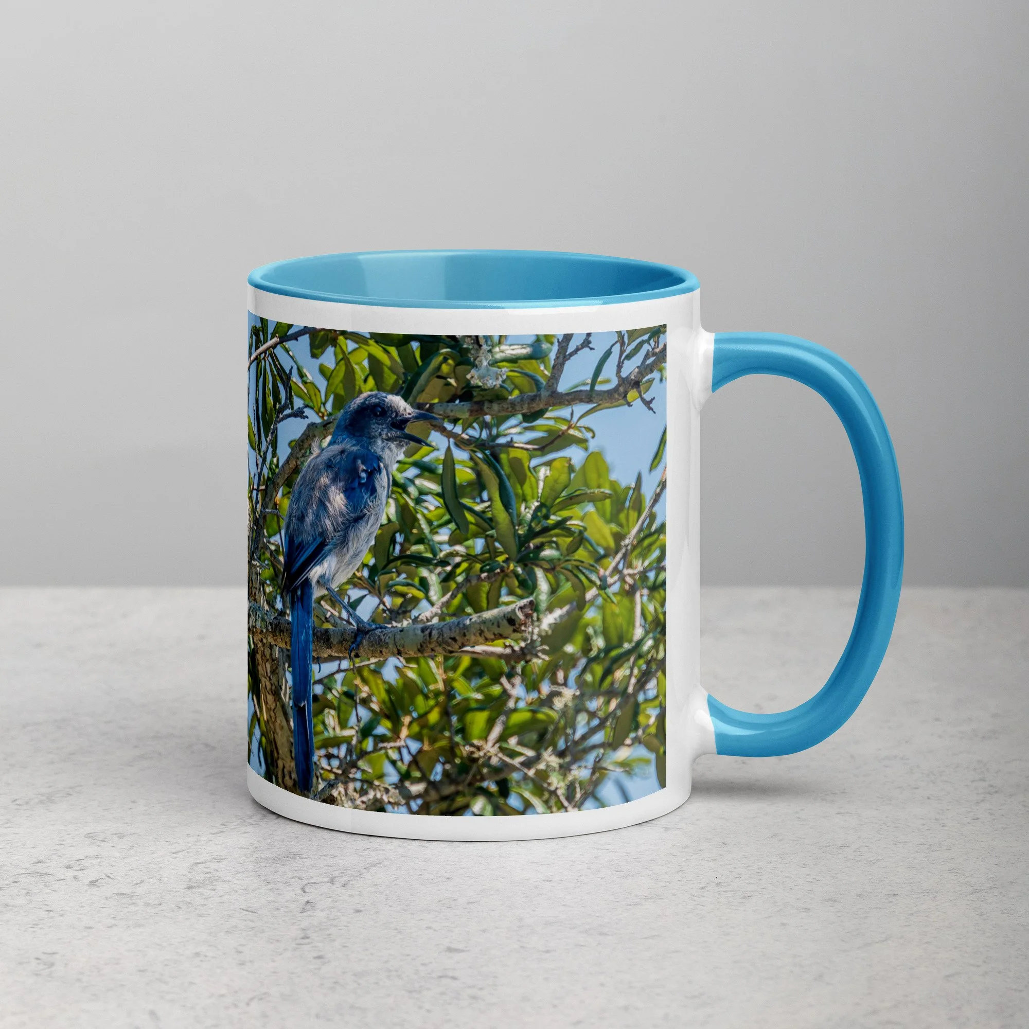 white-ceramic-mug-with-color-inside-blue-11-oz-right-6a76b4e0d7568.jpg