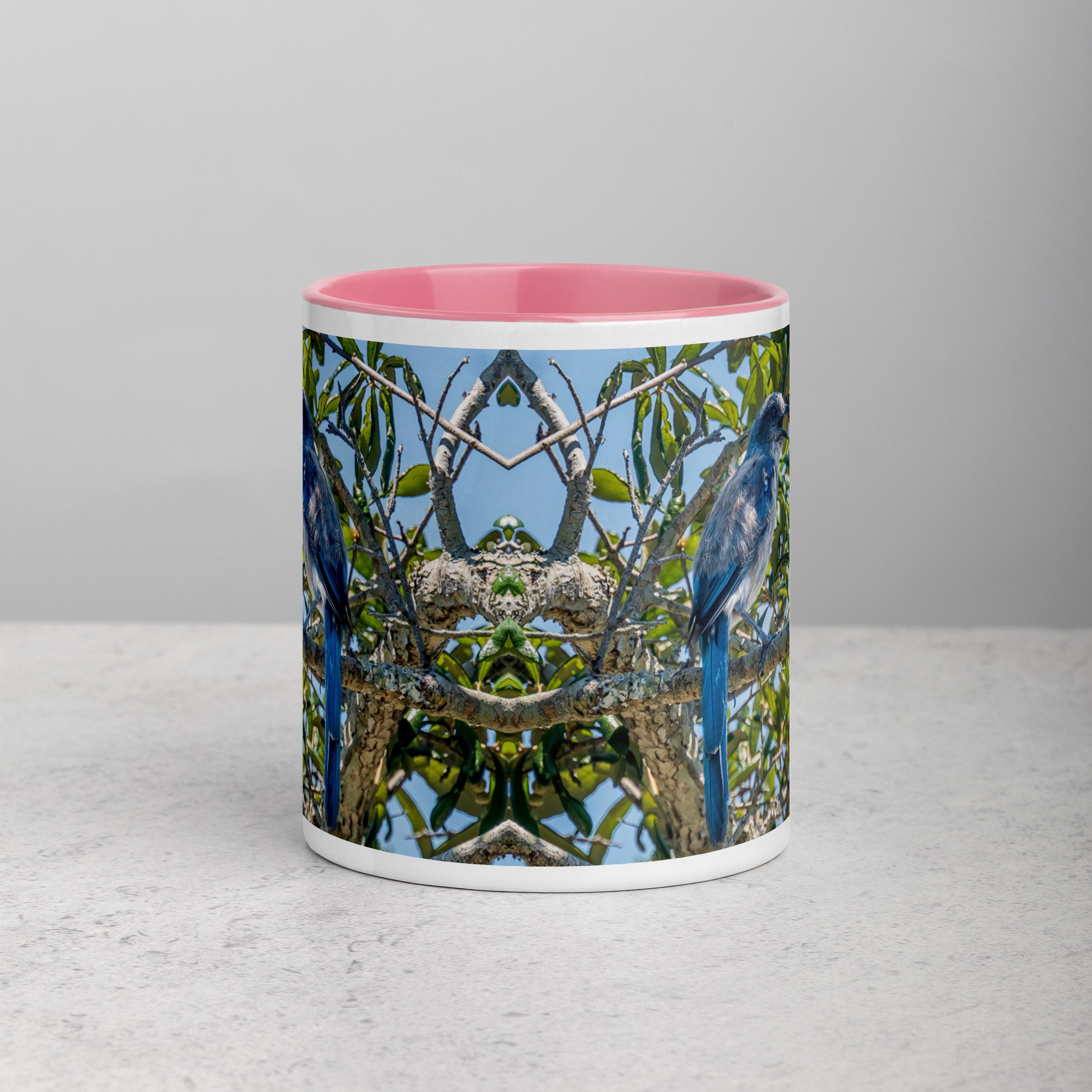 white-ceramic-mug-with-color-inside-pink-11-oz-front-6a76b4e0d75aa.jpg