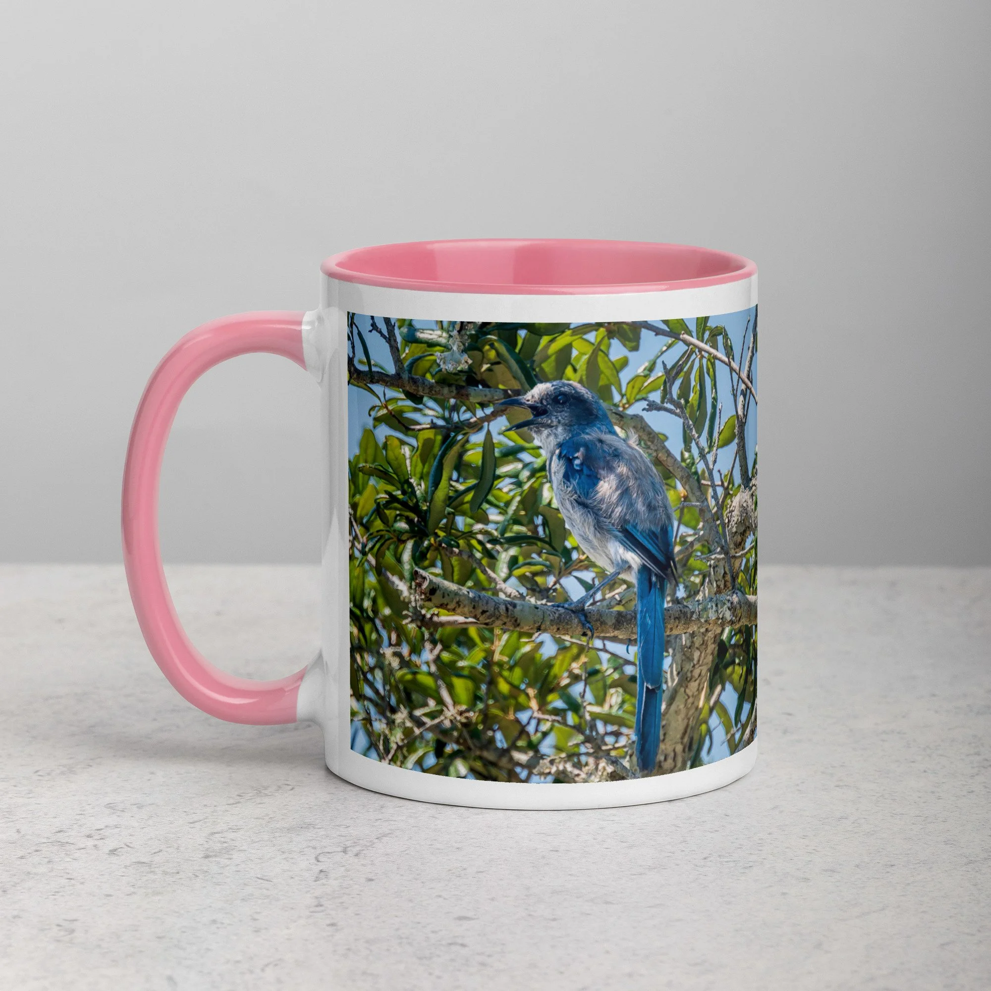 white-ceramic-mug-with-color-inside-pink-11-oz-left-6a76b4e0d75c7.jpg