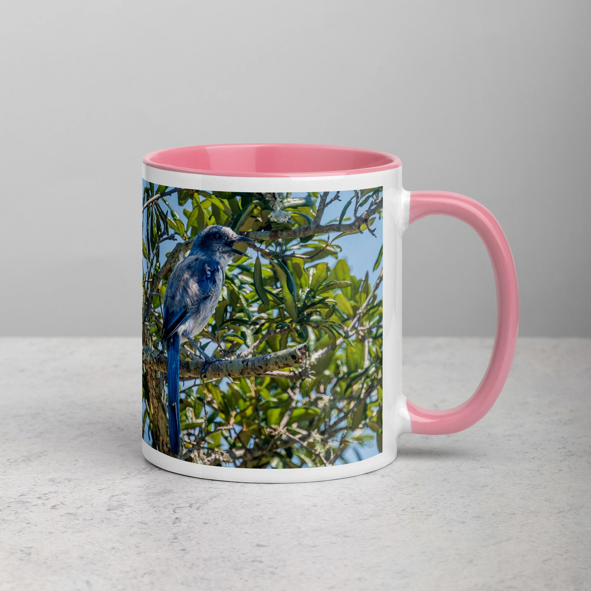 white-ceramic-mug-with-color-inside-pink-11-oz-right-6a76b4e0d75e2.jpg