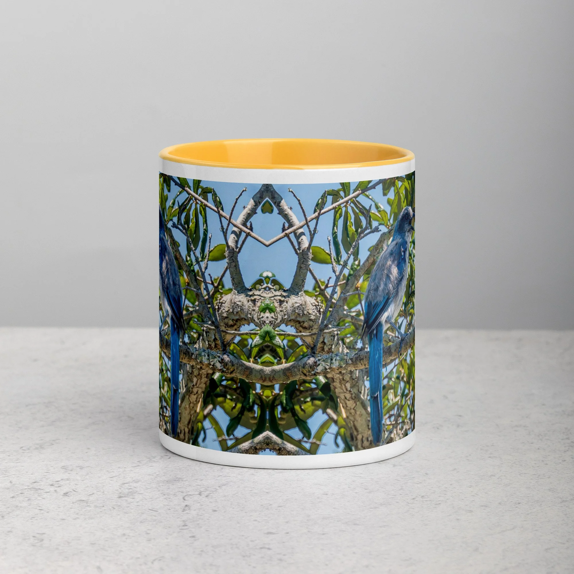 white-ceramic-mug-with-color-inside-golden-yellow-11-oz-front-6a76b4e0d7625.jpg