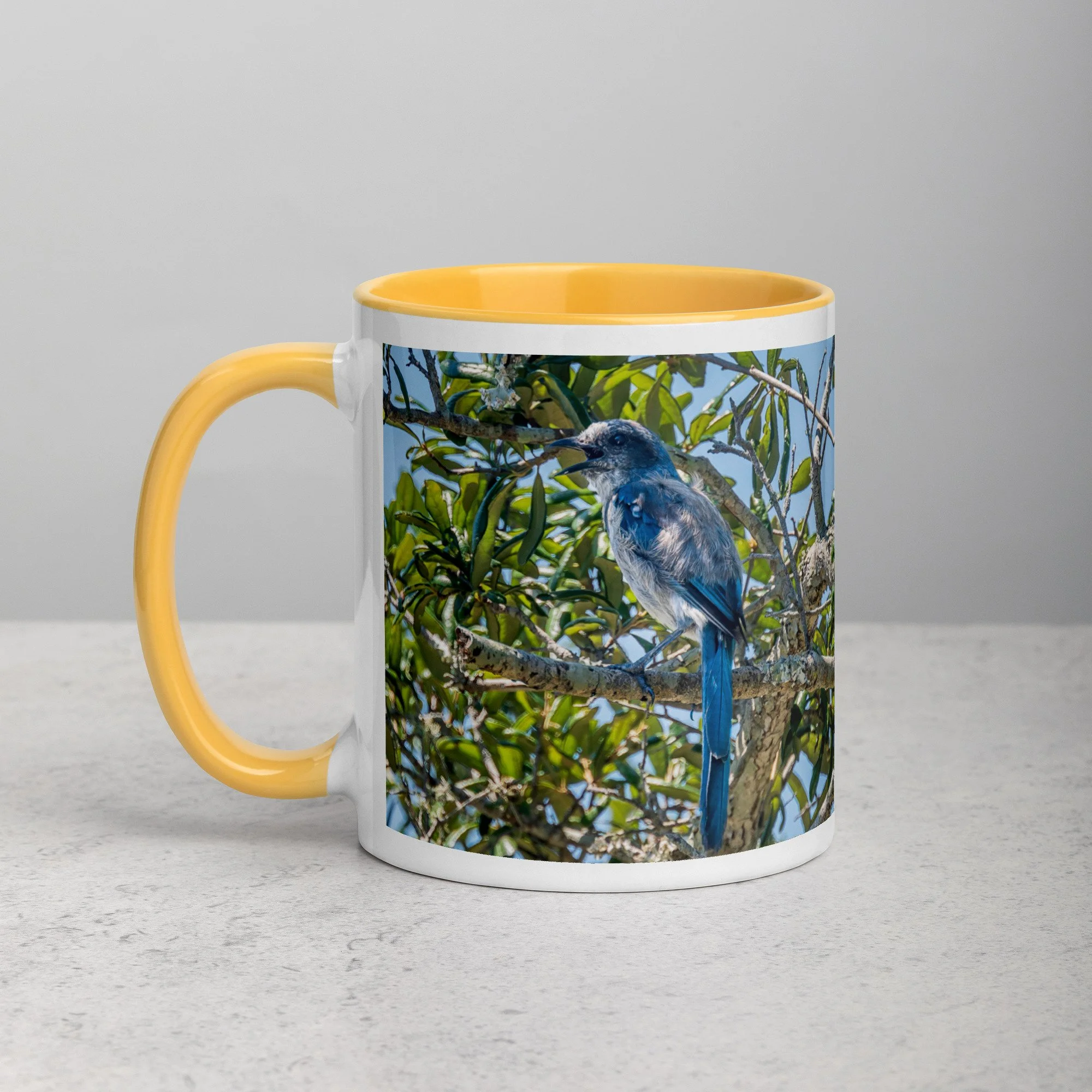 white-ceramic-mug-with-color-inside-golden-yellow-11-oz-left-6a76b4e0d7643.jpg