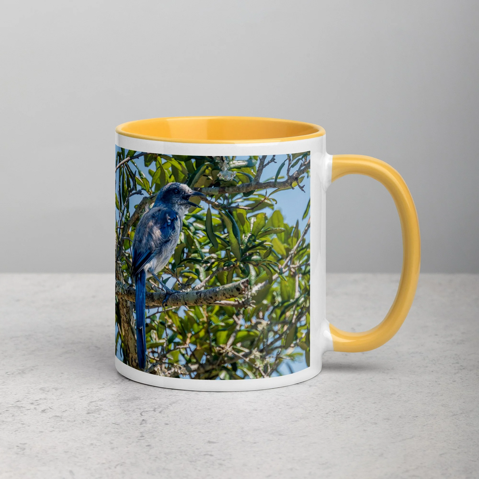 white-ceramic-mug-with-color-inside-golden-yellow-11-oz-right-6a76b4e0d7660.jpg