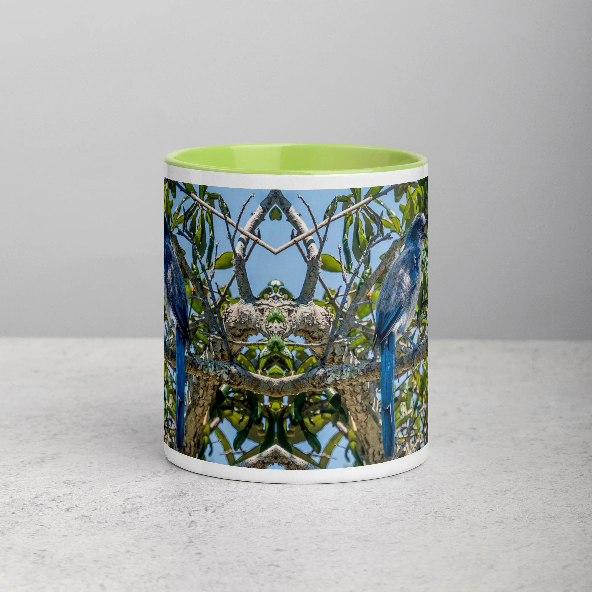 white-ceramic-mug-with-color-inside-green-11-oz-front-6a76b4e0d769d.jpg
