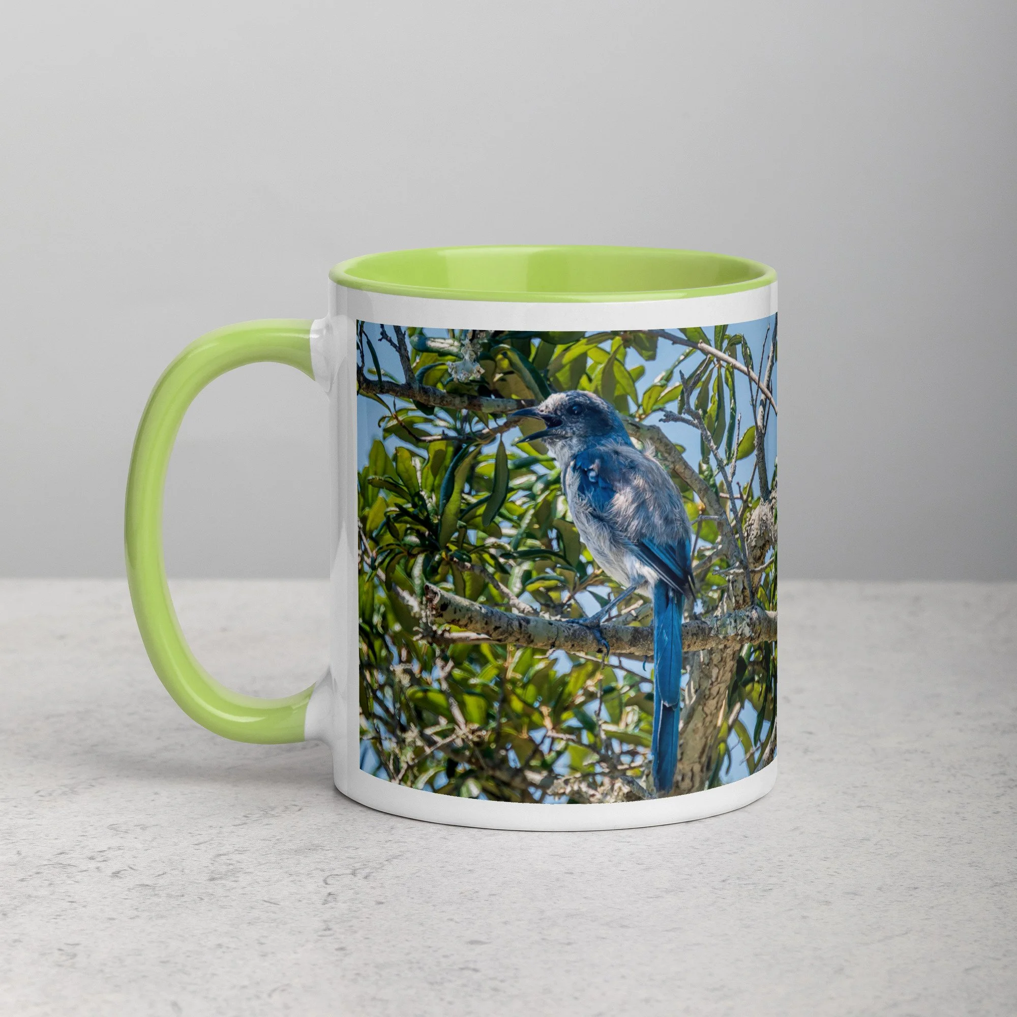 white-ceramic-mug-with-color-inside-green-11-oz-left-6a76b4e0d76ba.jpg