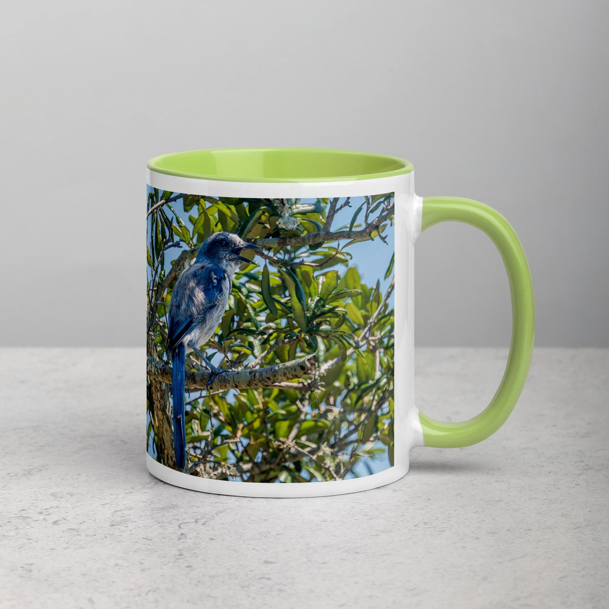 white-ceramic-mug-with-color-inside-green-11-oz-right-6a76b4e0d76e0.jpg