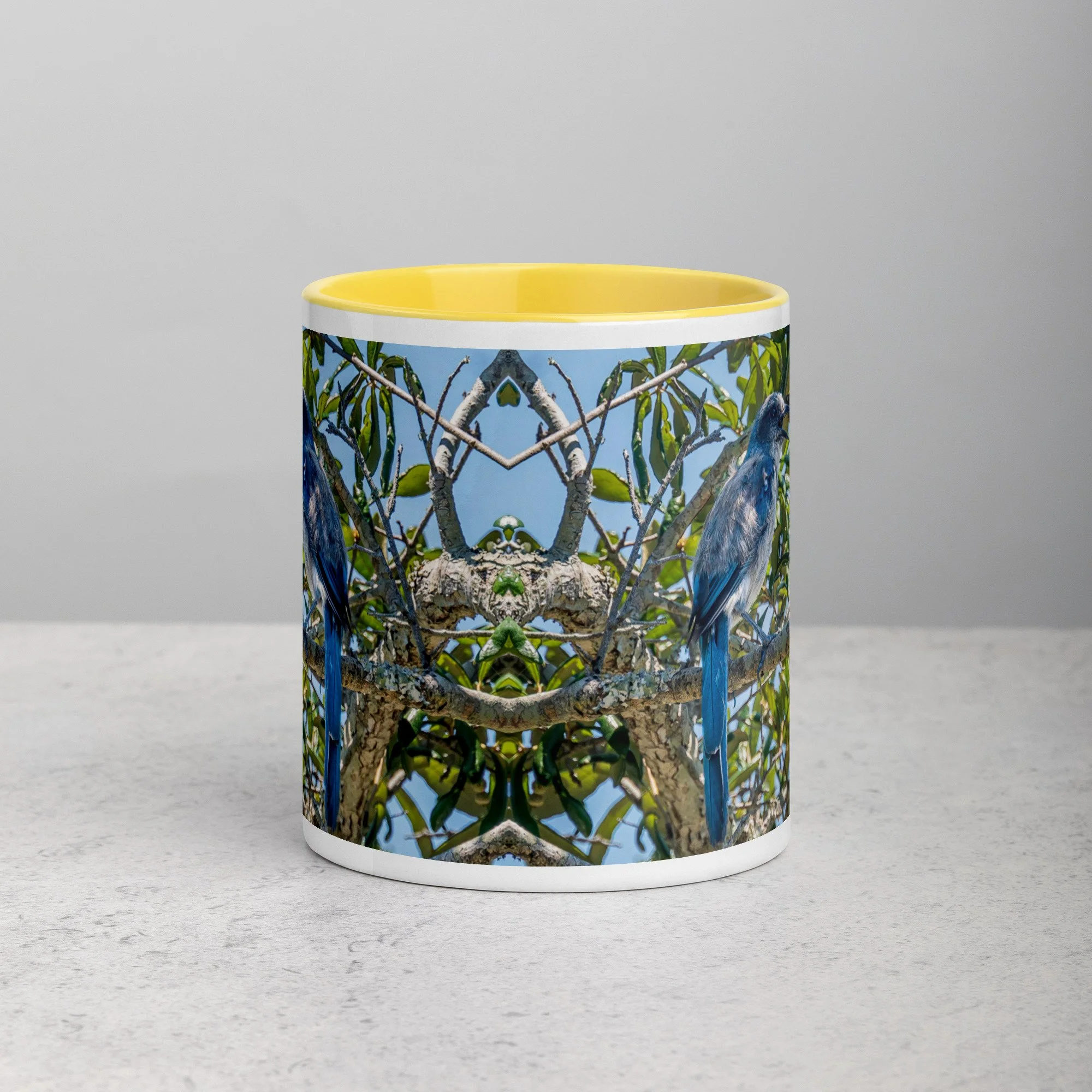 white-ceramic-mug-with-color-inside-yellow-11-oz-front-6a76b4e0d7722.jpg