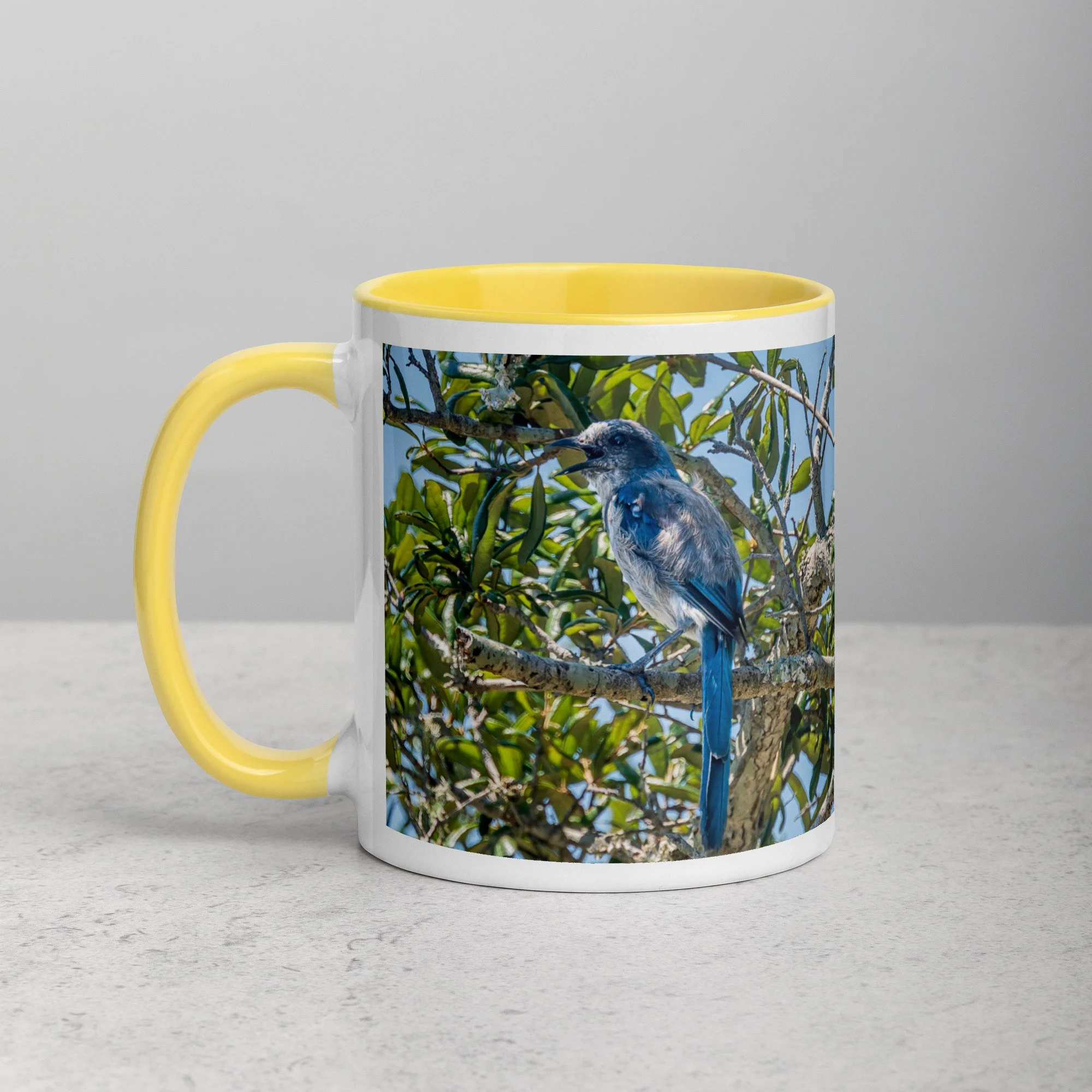 white-ceramic-mug-with-color-inside-yellow-11-oz-left-6a76b4e0d773e.jpg