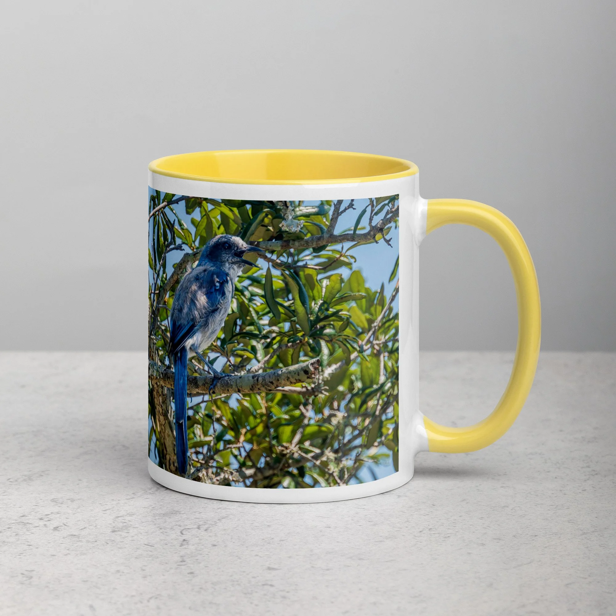 white-ceramic-mug-with-color-inside-yellow-11-oz-right-6a76b4e0d7759.jpg