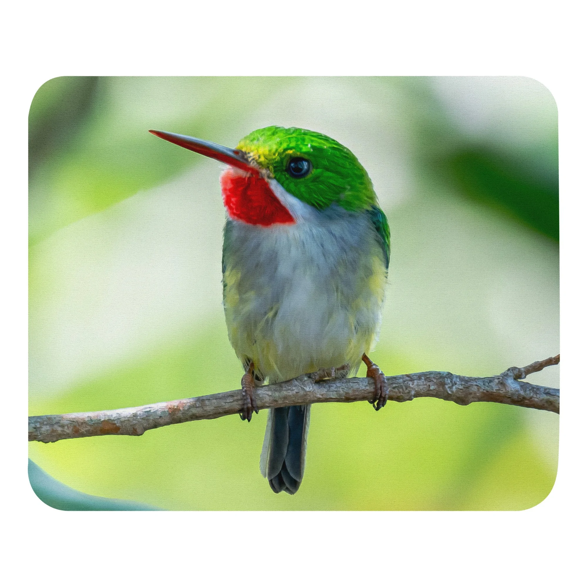 mouse-pad-white-front-6a7bee54a85e7.jpg