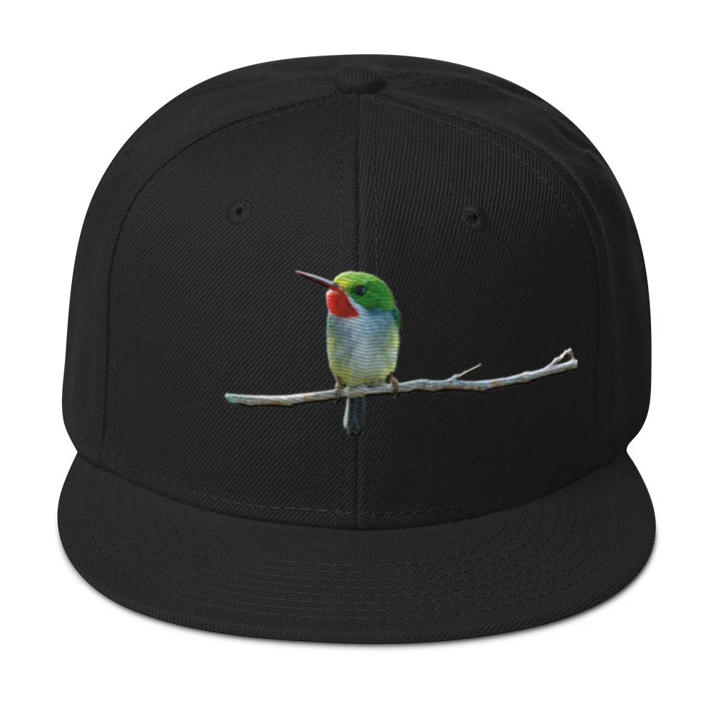 snapback-black-front-6a7d4ad2da1ce.jpg