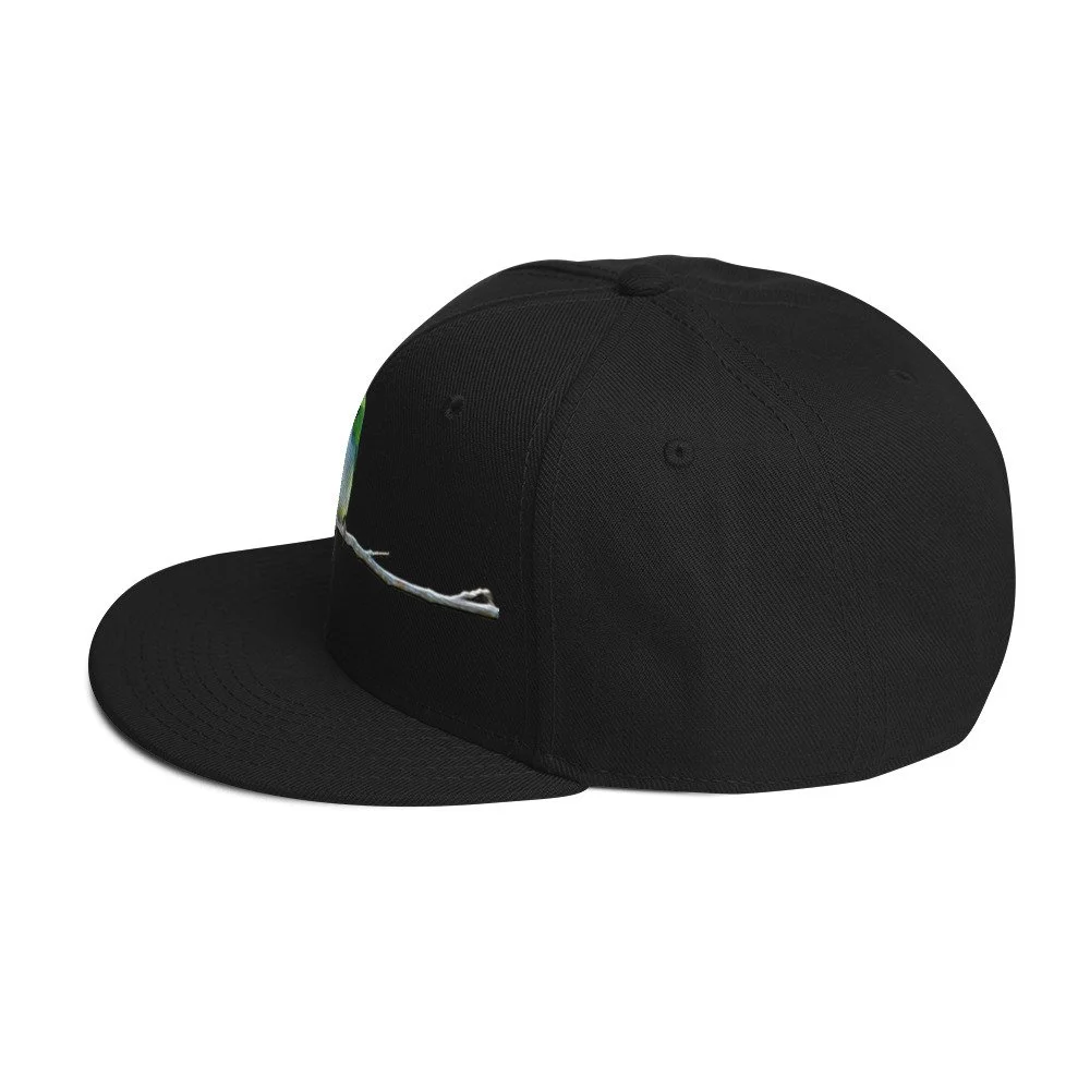 snapback-black-left-side-6a7d4ad2da322.jpg