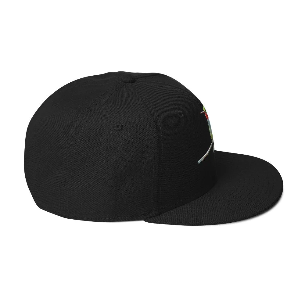 snapback-black-right-side-6a7d4ad2da37a.jpg