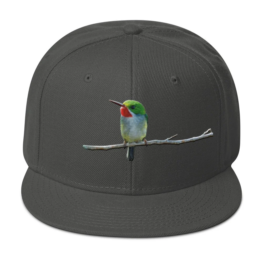 snapback-charcoal-gray-front-6a7d4ad2da410.jpg
