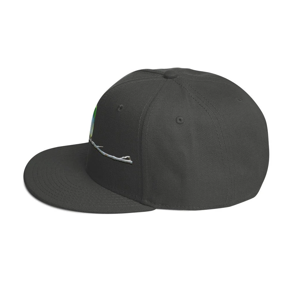 snapback-charcoal-gray-left-side-6a7d4ad2da532.jpg