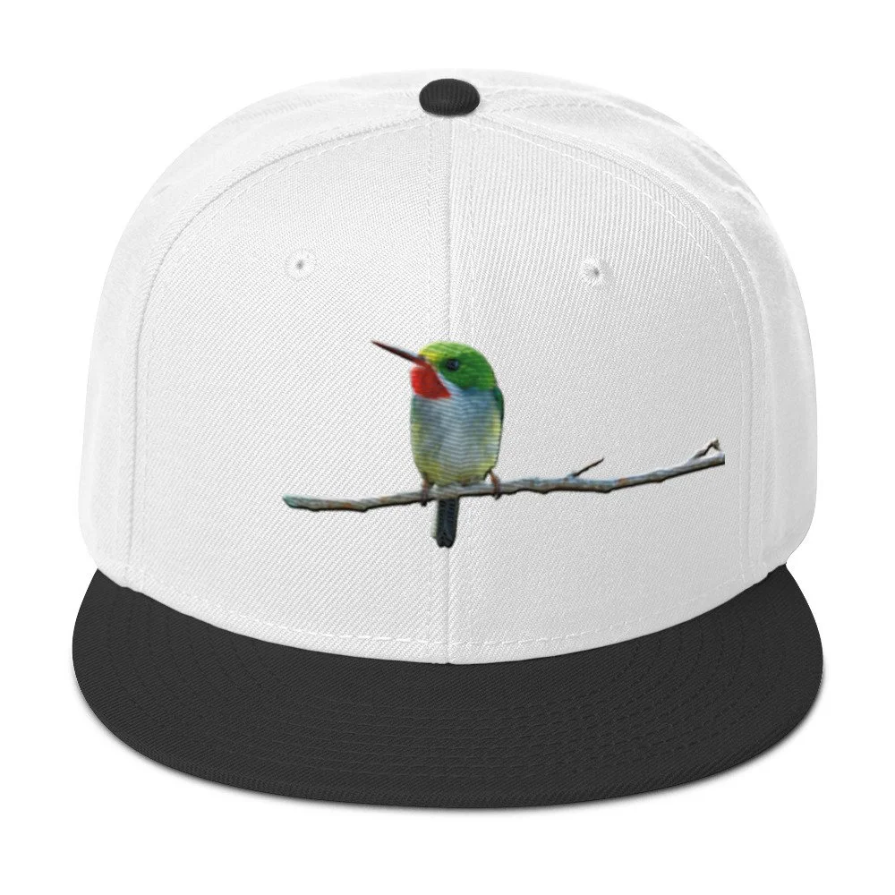 snapback-black-white-white-front-6a7d4ad2da812.jpg