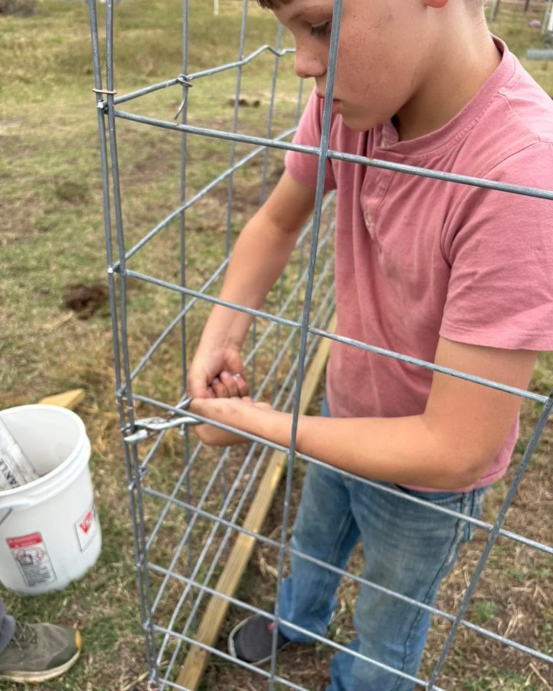 🌾 Scenes from the Farm This Week 🌾

Some weeks on the farm feel like a little bit of everything &mdash; building, tending, learning, and creating.

We started the week with a few construction projects (because there&rsquo;s always something that ne