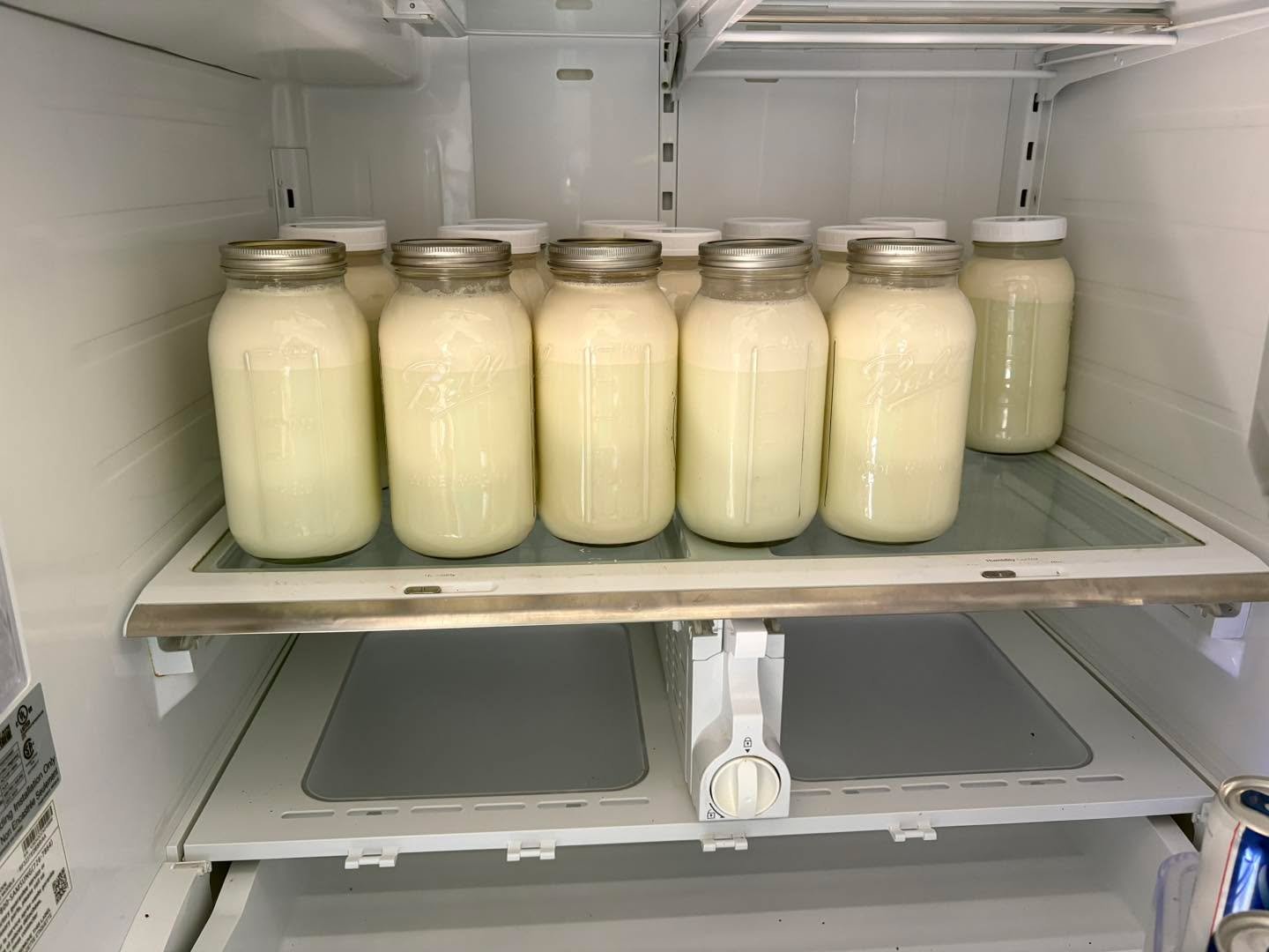 The fridge is full and humming. Fresh milk coming and going day in and day out. Milk for herd-share members, calves, and our own family. Even in the busy chaos of the season, some things stay steady. 🥛

Speaking of milk&hellip; cheese happened. Agai