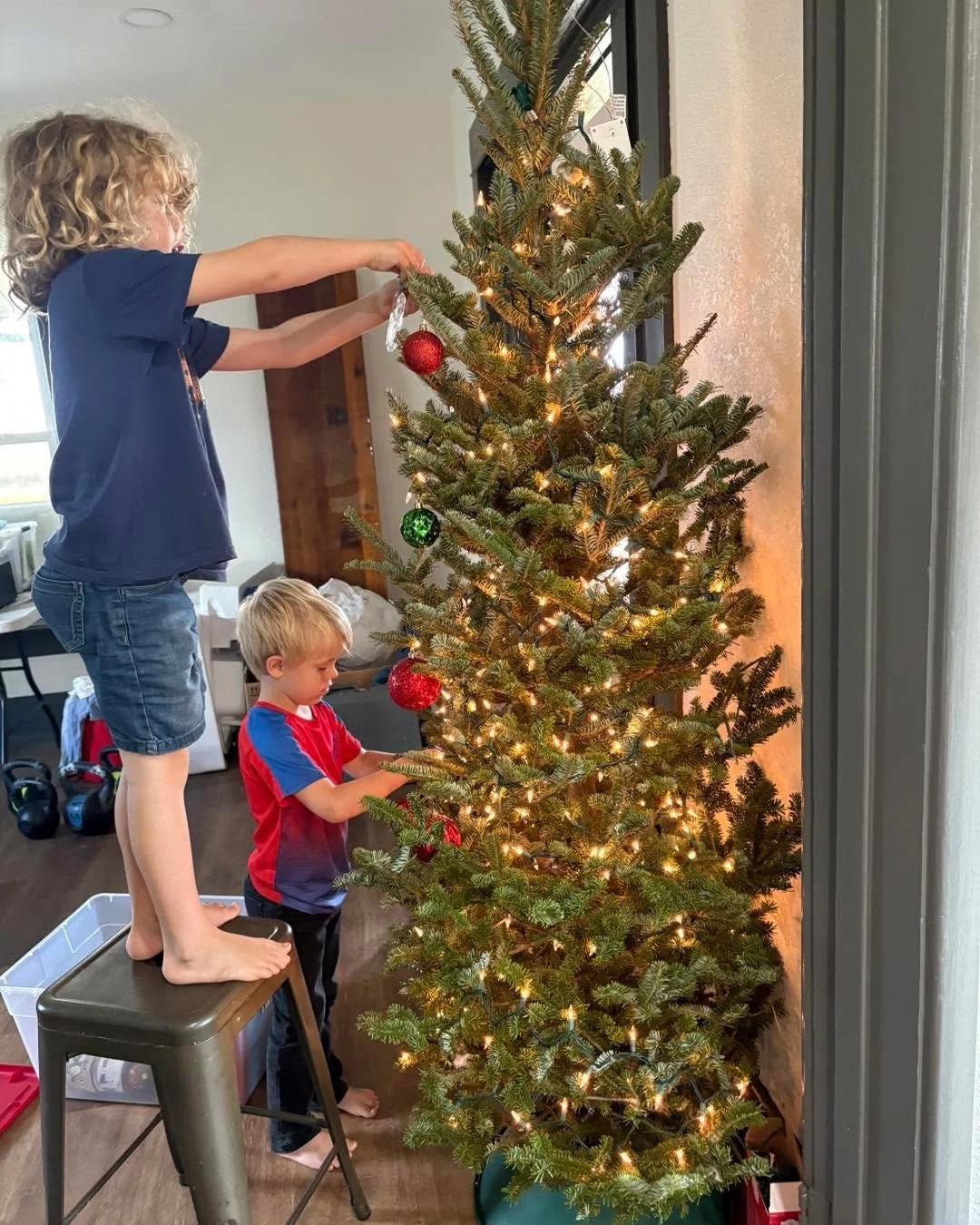 We hope everyone had a wonderful holiday season and a great start to the new year! After a nice little social media break over the Christmas season we are excited to back to sharing what we have going on at the farm. Stay tuned for to see some of the