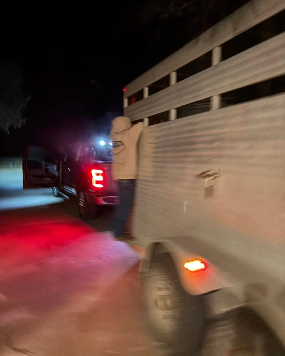 And they&rsquo;re off to the Fort Worth Stock Show! 

Huge thanks to Winnie and Pawpaw for taking J so we can keep the farm running smoothly back home.

Between kids, cows, and chicks, it&rsquo;s full-tilt busy around here until after the county fair