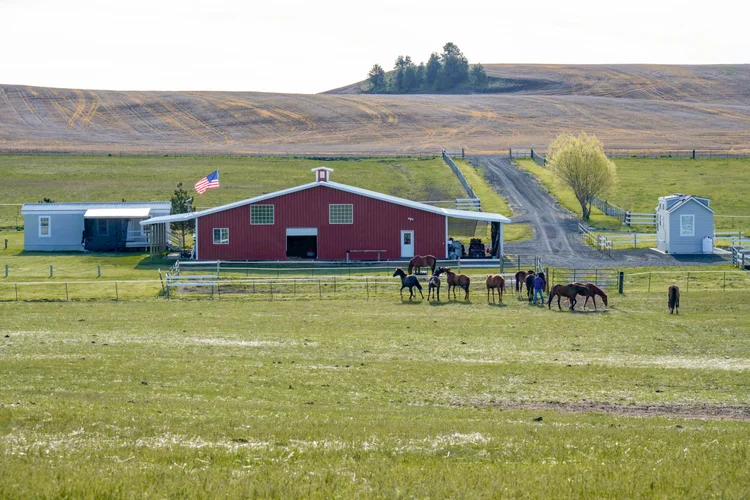 Down The Stretch Ranch