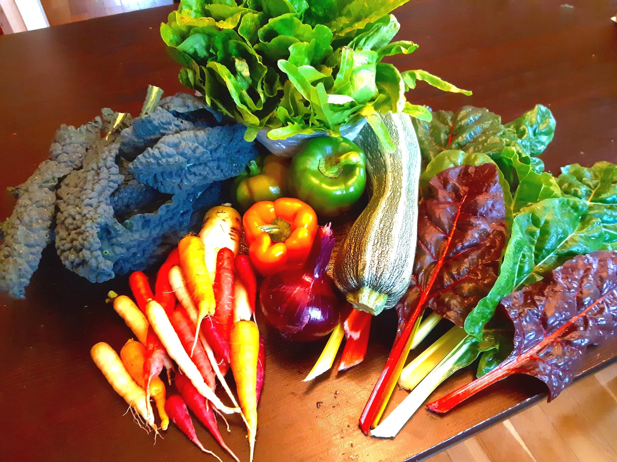 Coop Hill Farm Summer Veggies