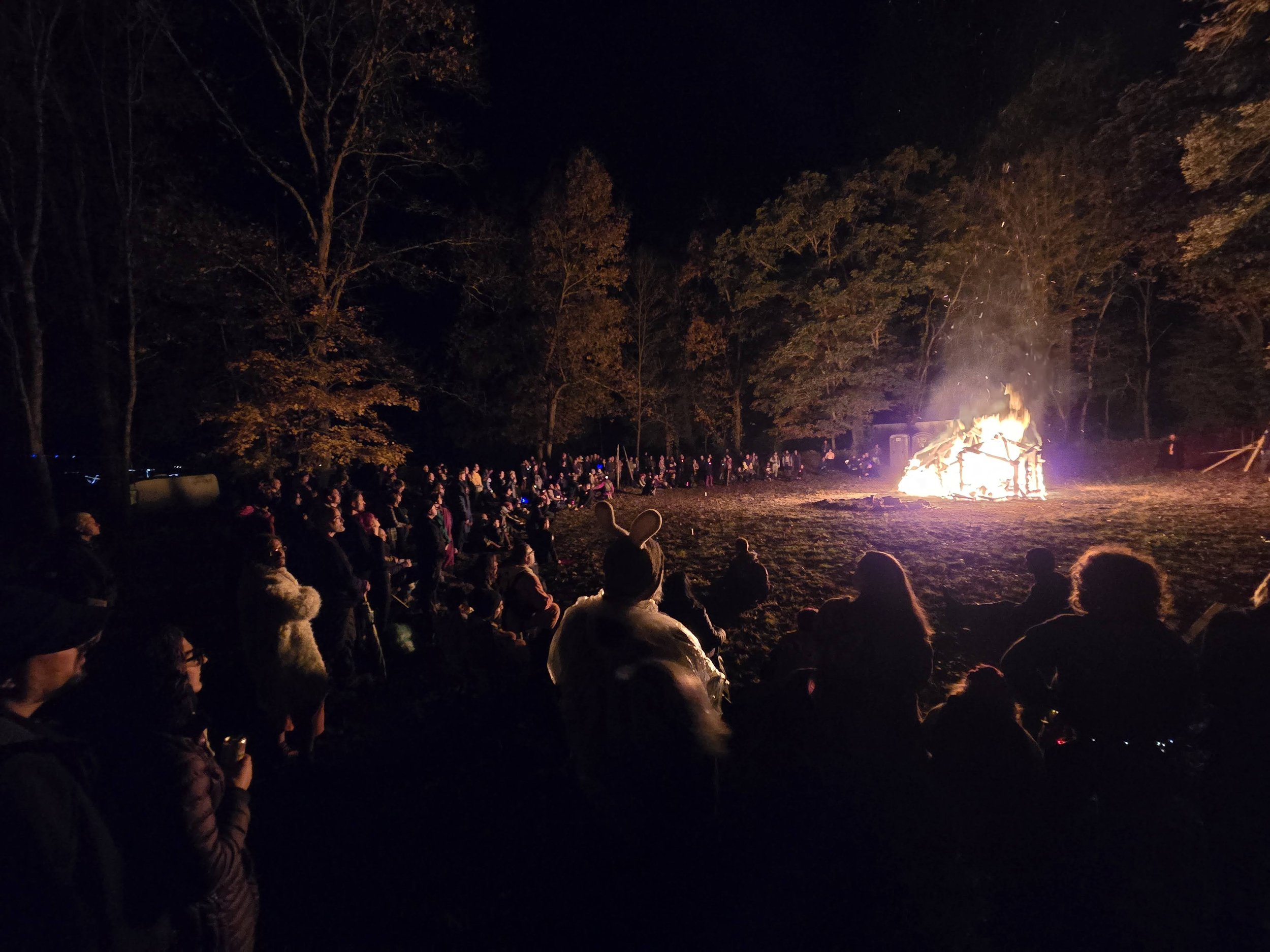 20241013_200007.jpg