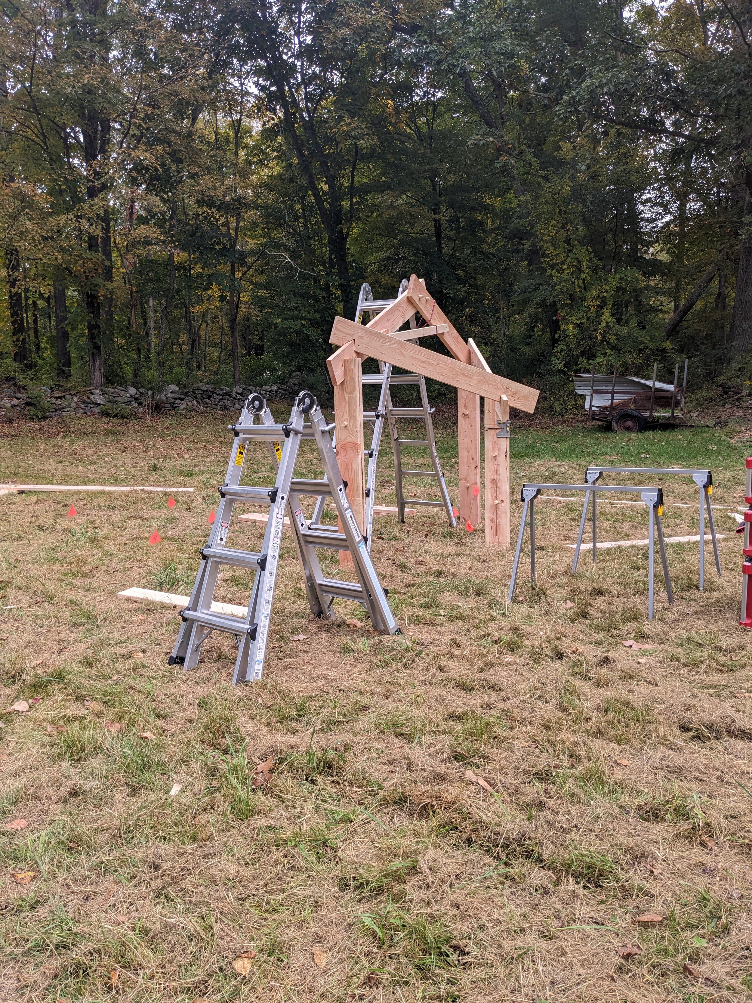 PXL_20240929_120150925.jpg