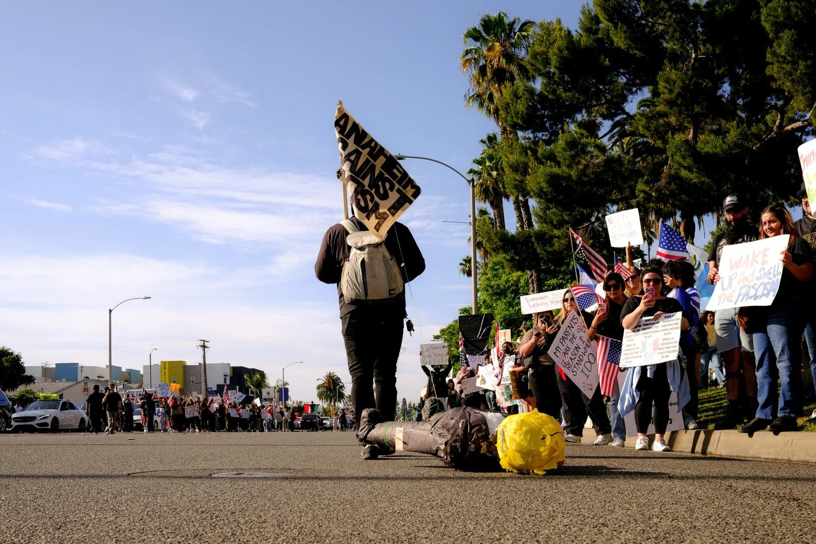 DSCF1211 (Large).jpg