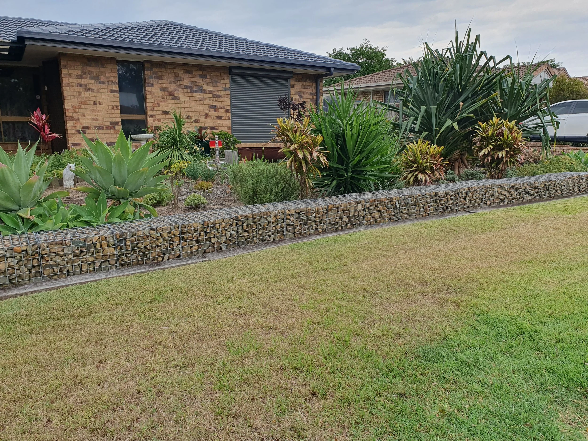 Residential garden with manicured lawn, stone-filled gabion retaining wall, and various tropical plants.