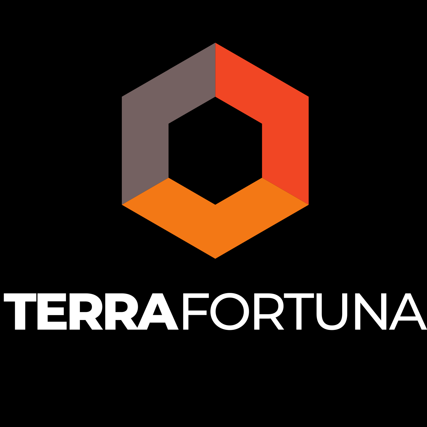 terra fortuna DARK.png