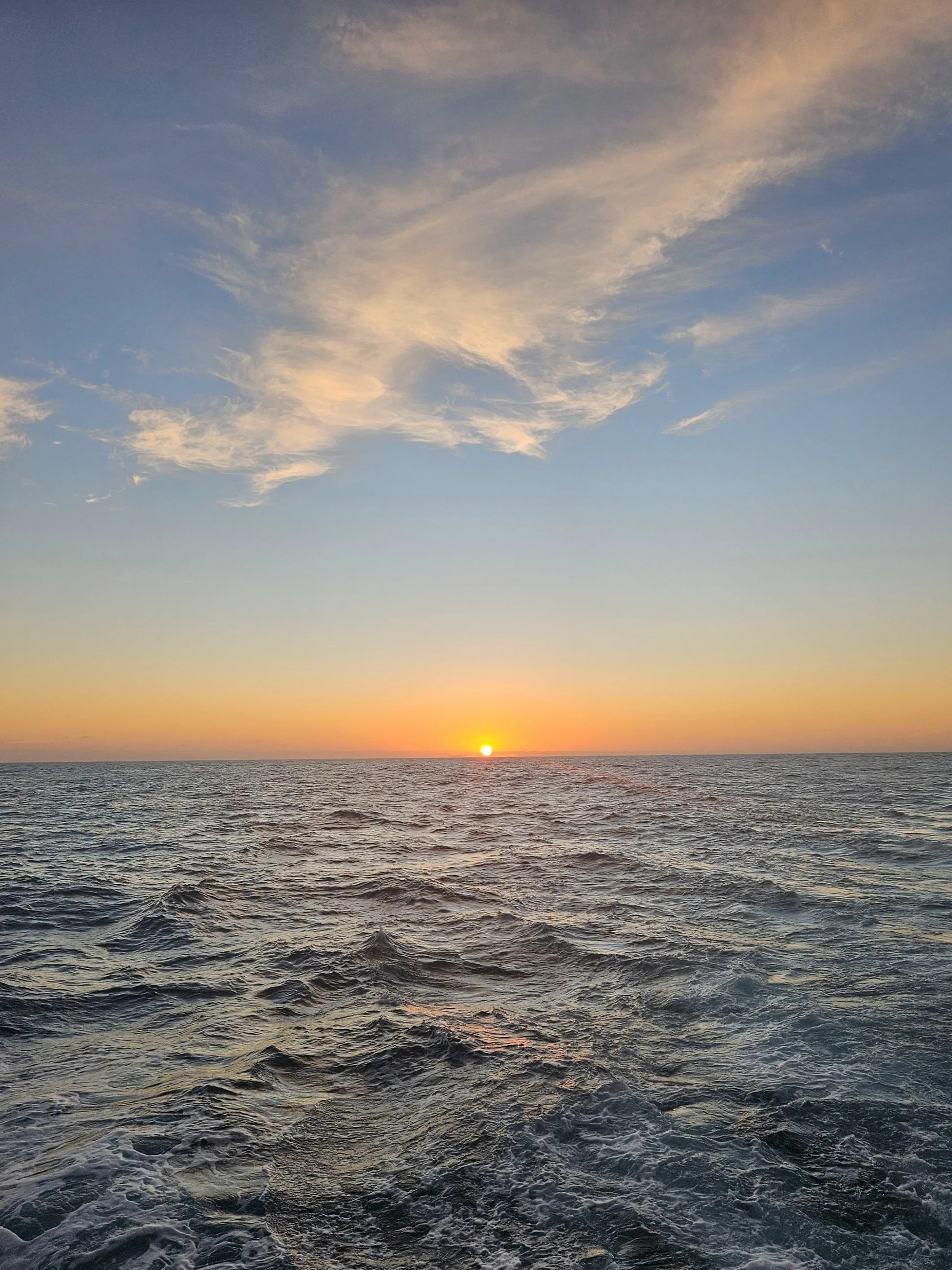 EMDR therapy in New York