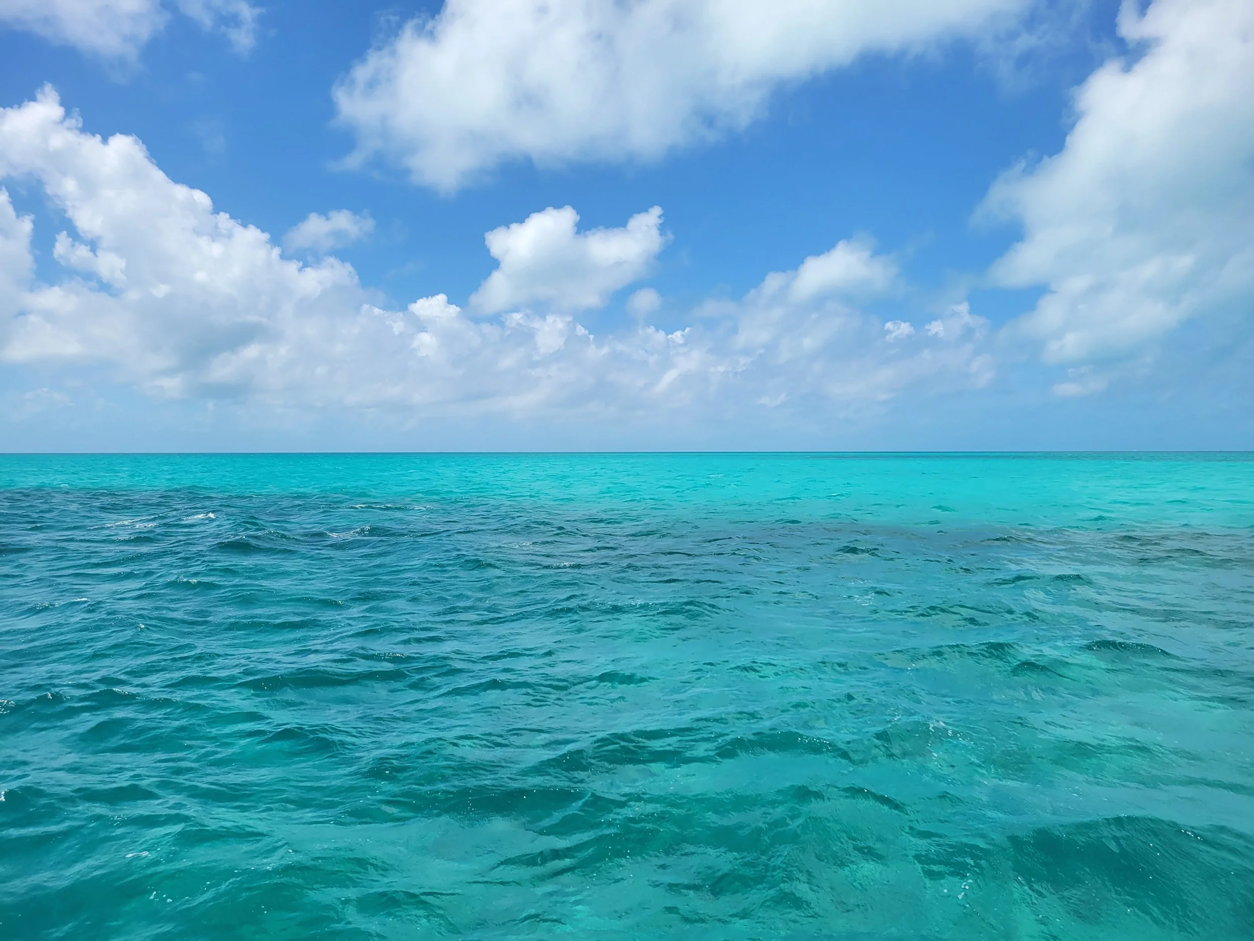 Bright New Day | Healing Journey | Healing Water | Healing Ocean