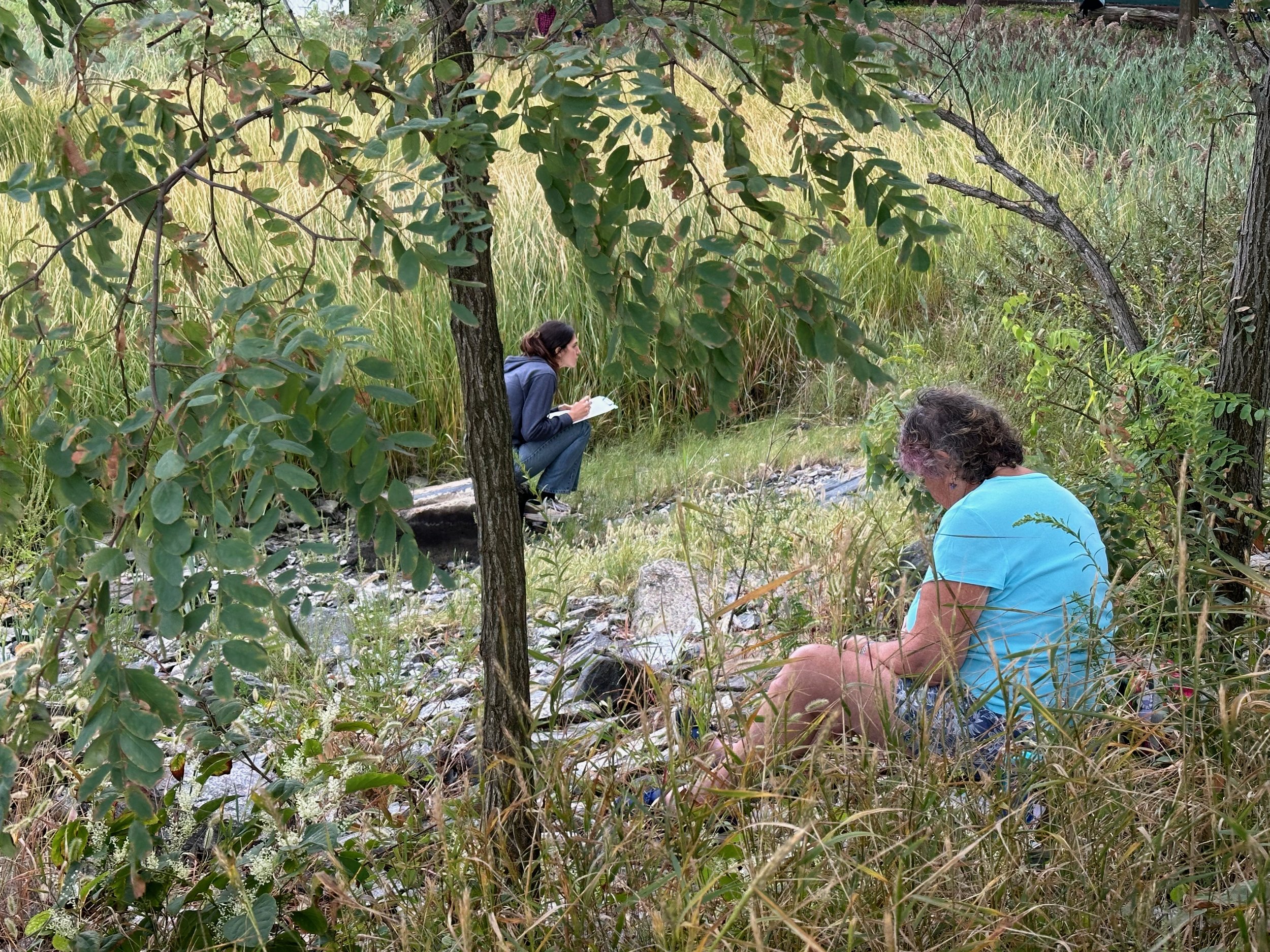 240907 Top Picks Workshop#3 Wetland Study and Sketch - 8.jpeg