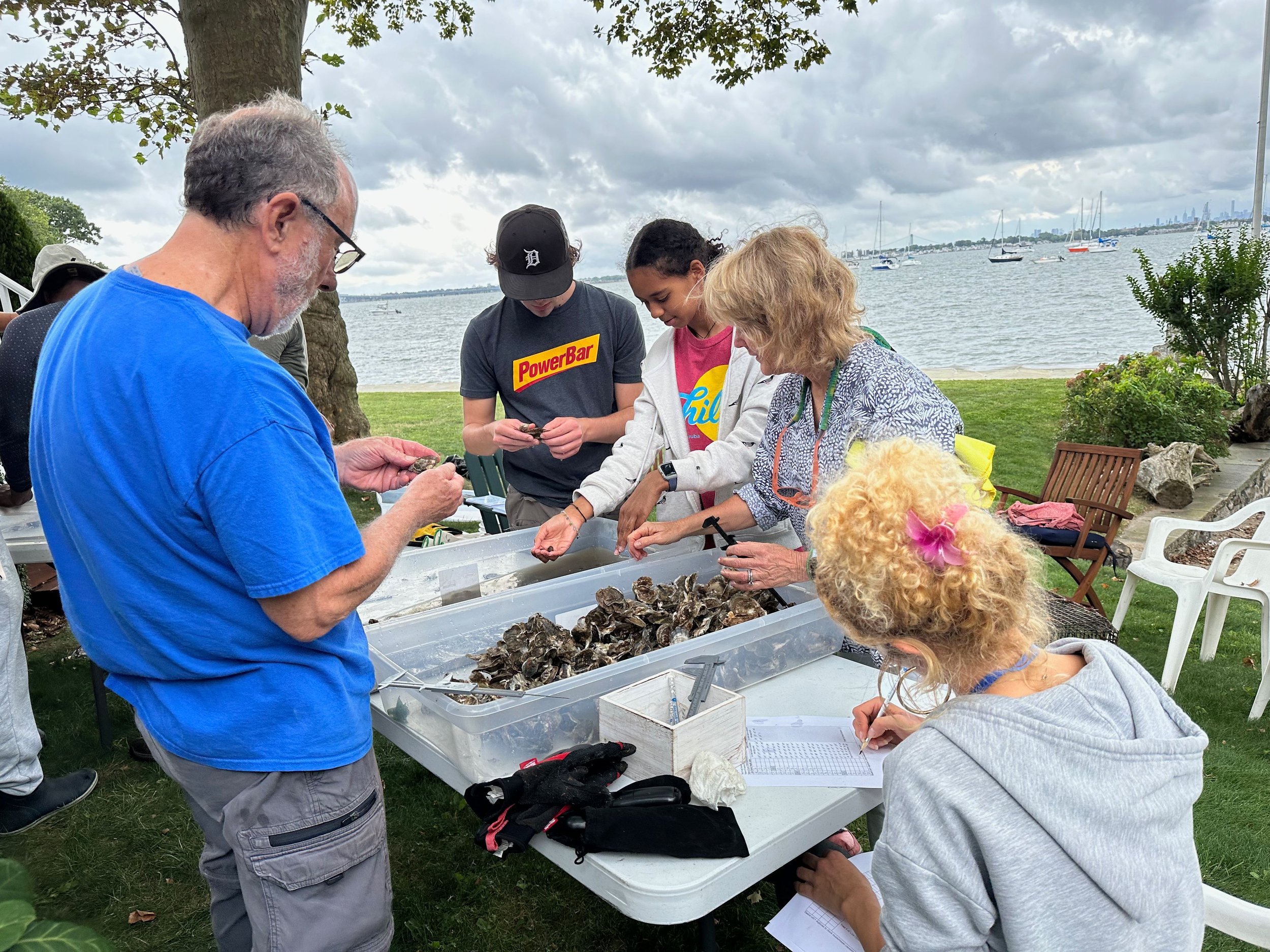 Viva Workshops 1 & 2 (Water-Quality Monitoring and Oyster Cage and Biodiversity)