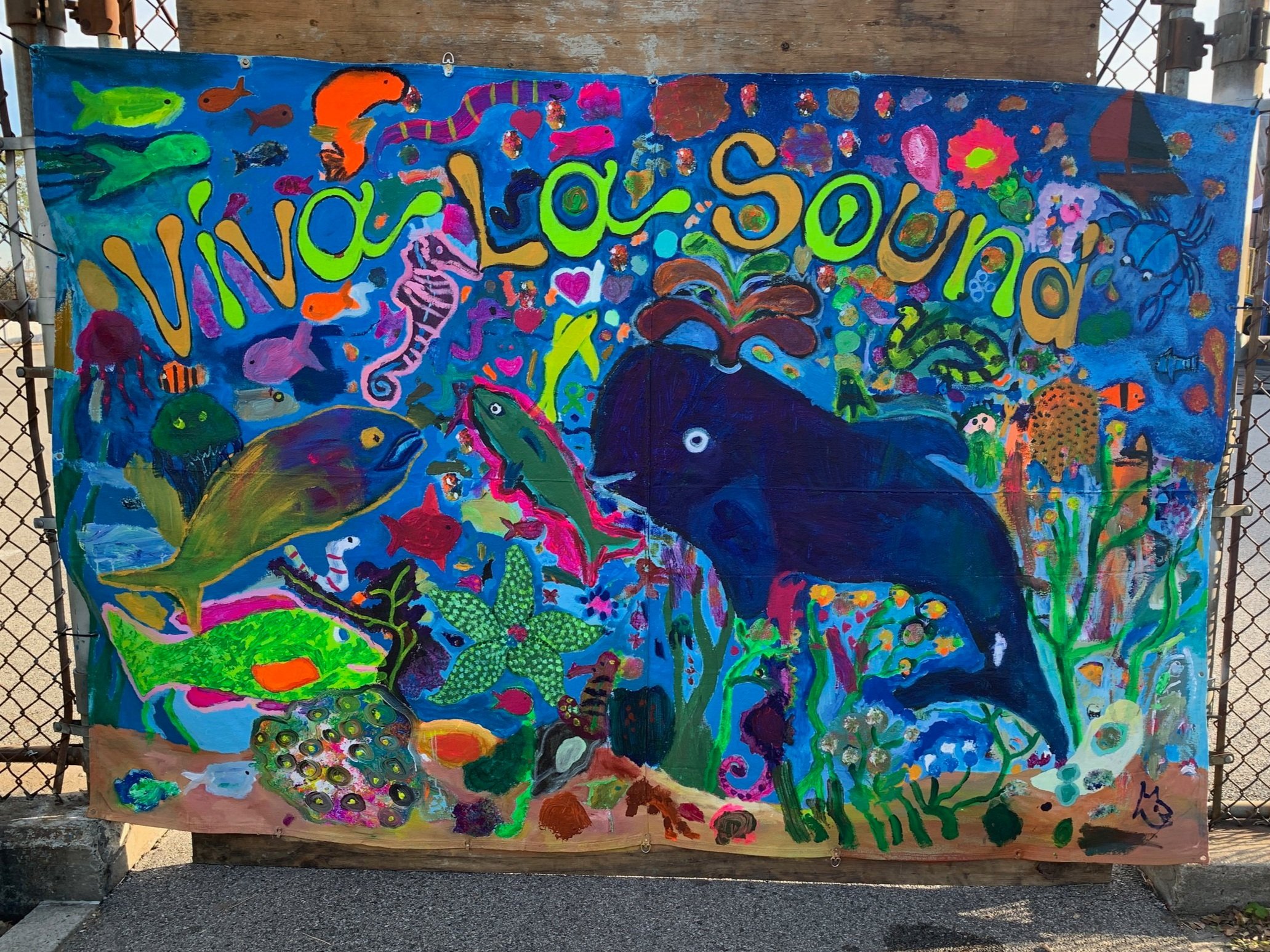 Viva La Sound Environmental Educational Festival