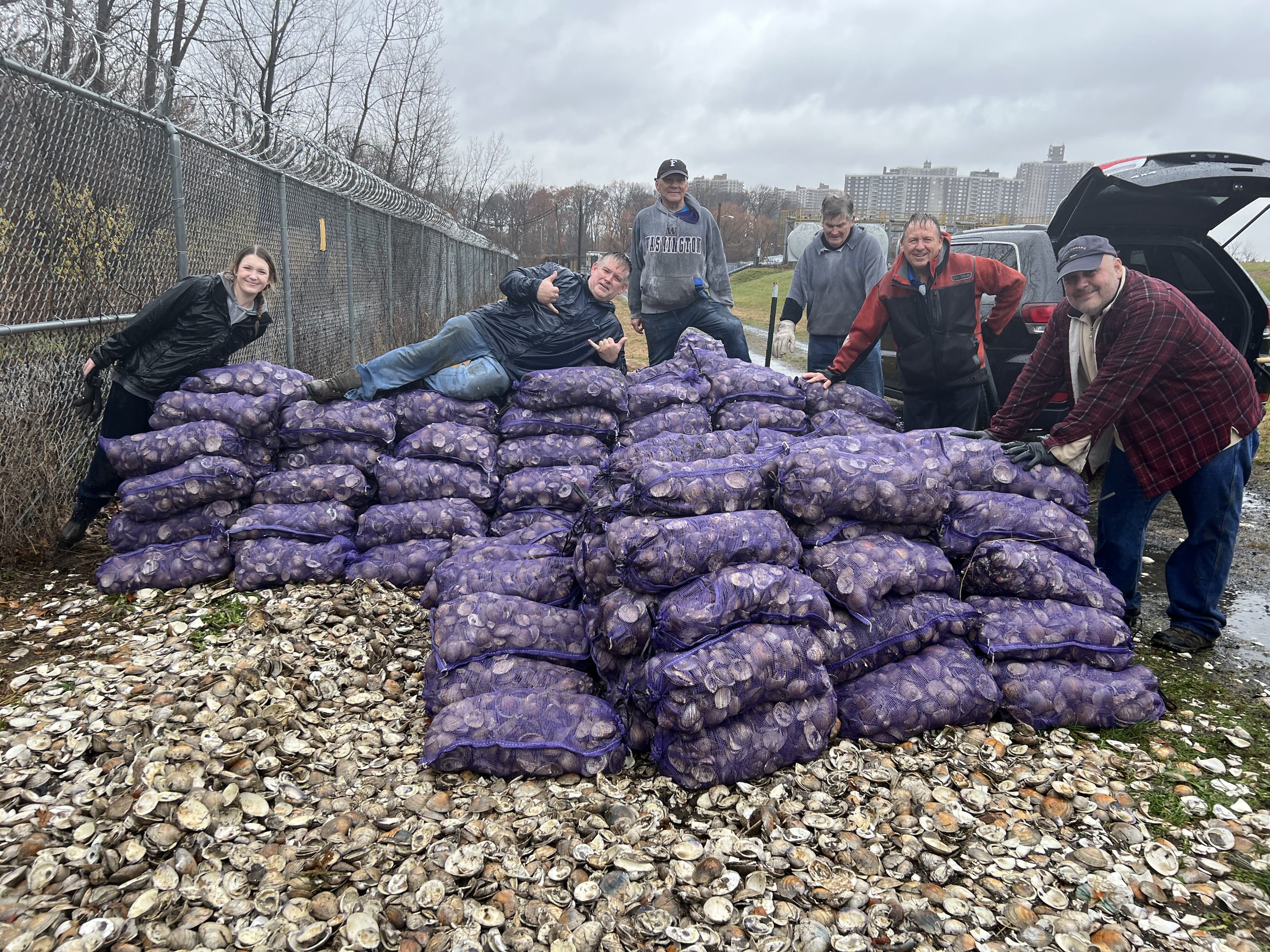 Shell Bagging