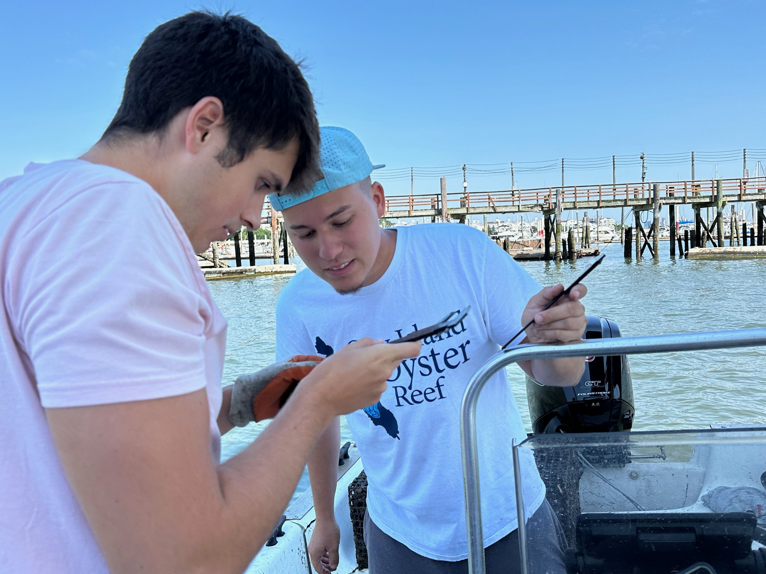 240727 ORS Pilot Cove Oyster Count - 12.jpeg