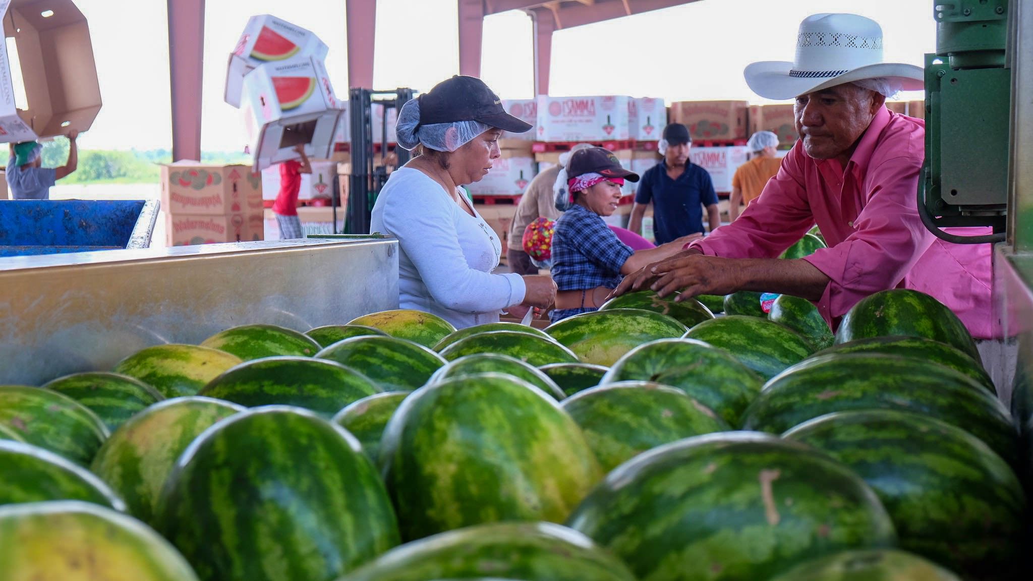 Frey Farms - Photo 28.jpg