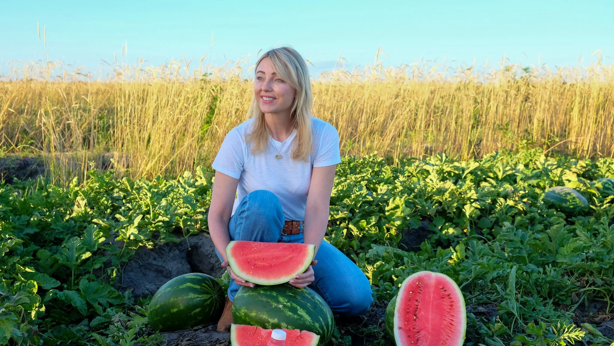 Frey Farms - Photo 03.jpg