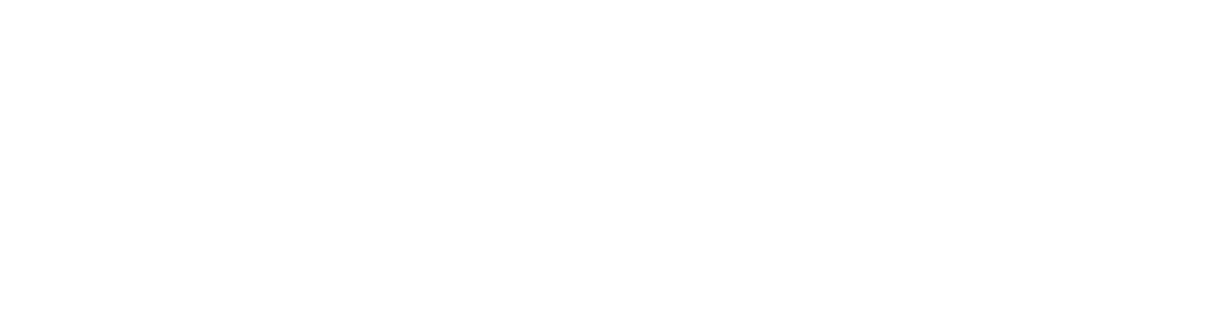 Large black and white logo with the word 'Opini' in bold uppercase letters.