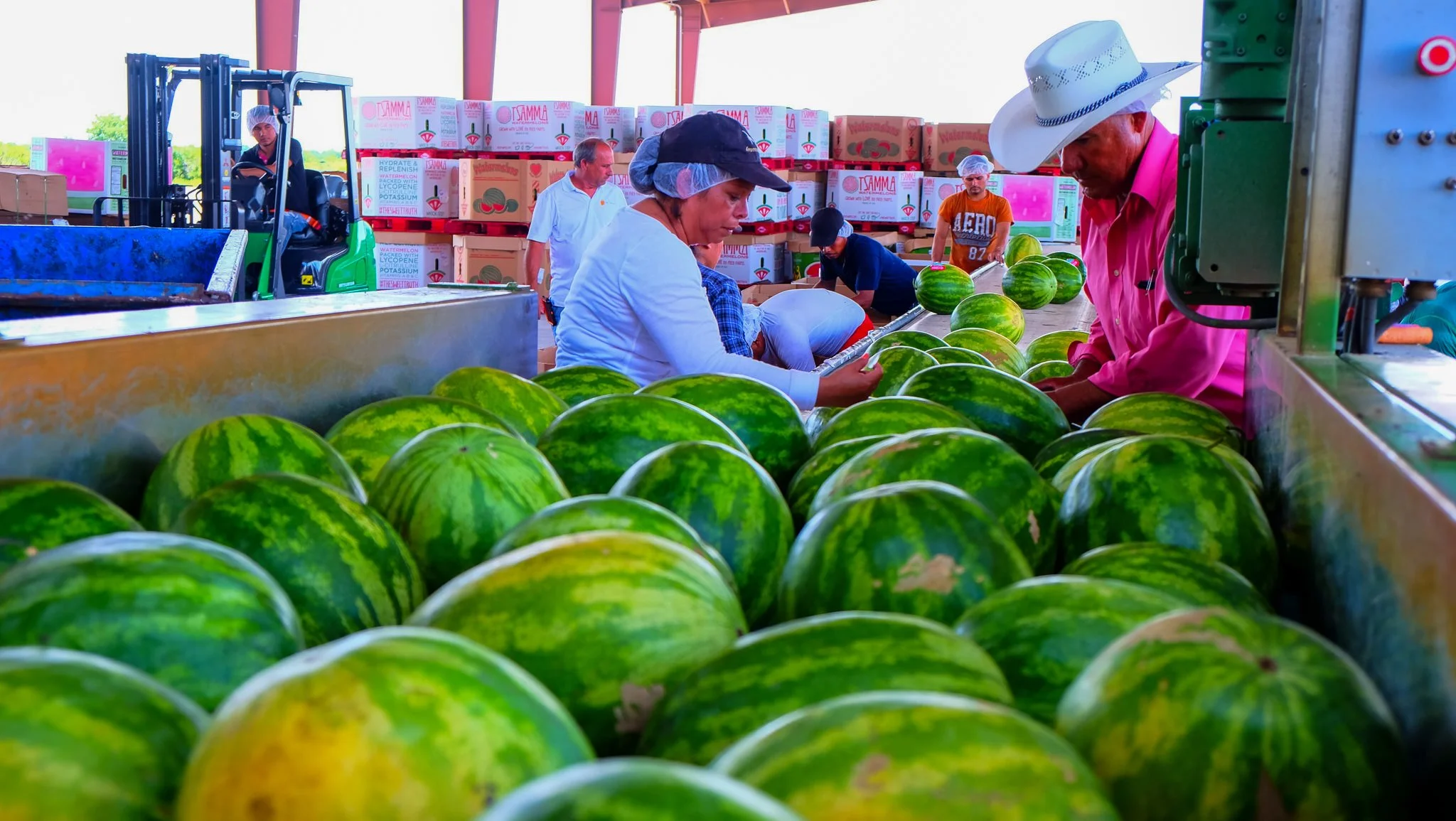 Frey Farms - Photo 25.jpg